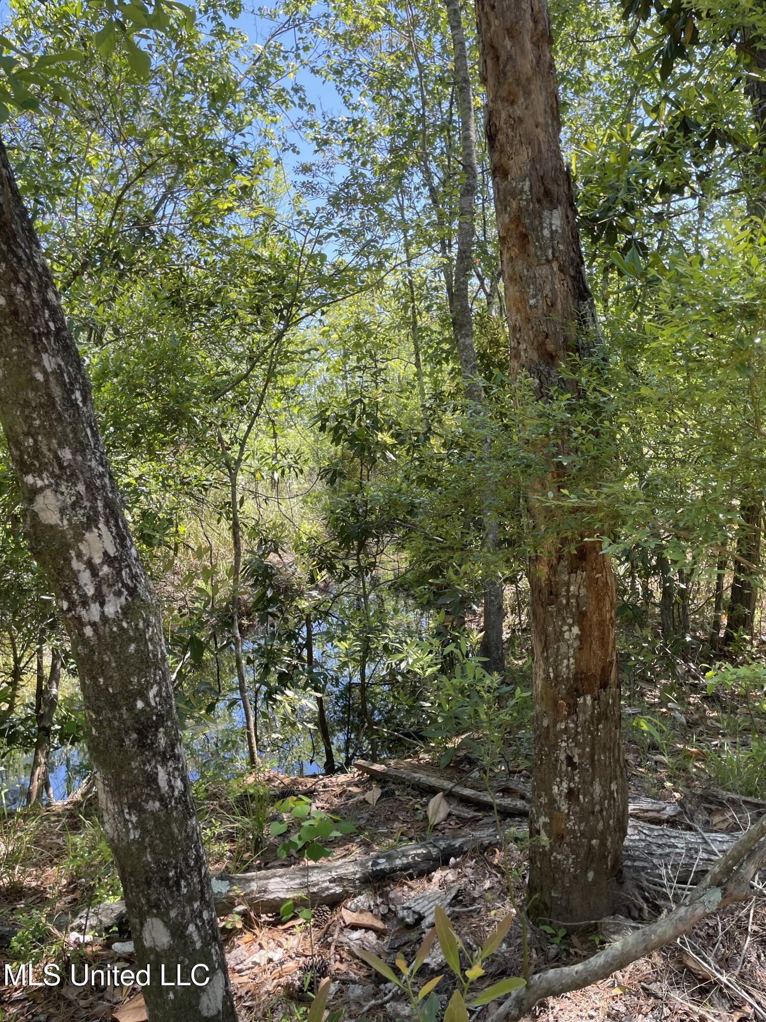 Rio Lado Lane Property Photo 9