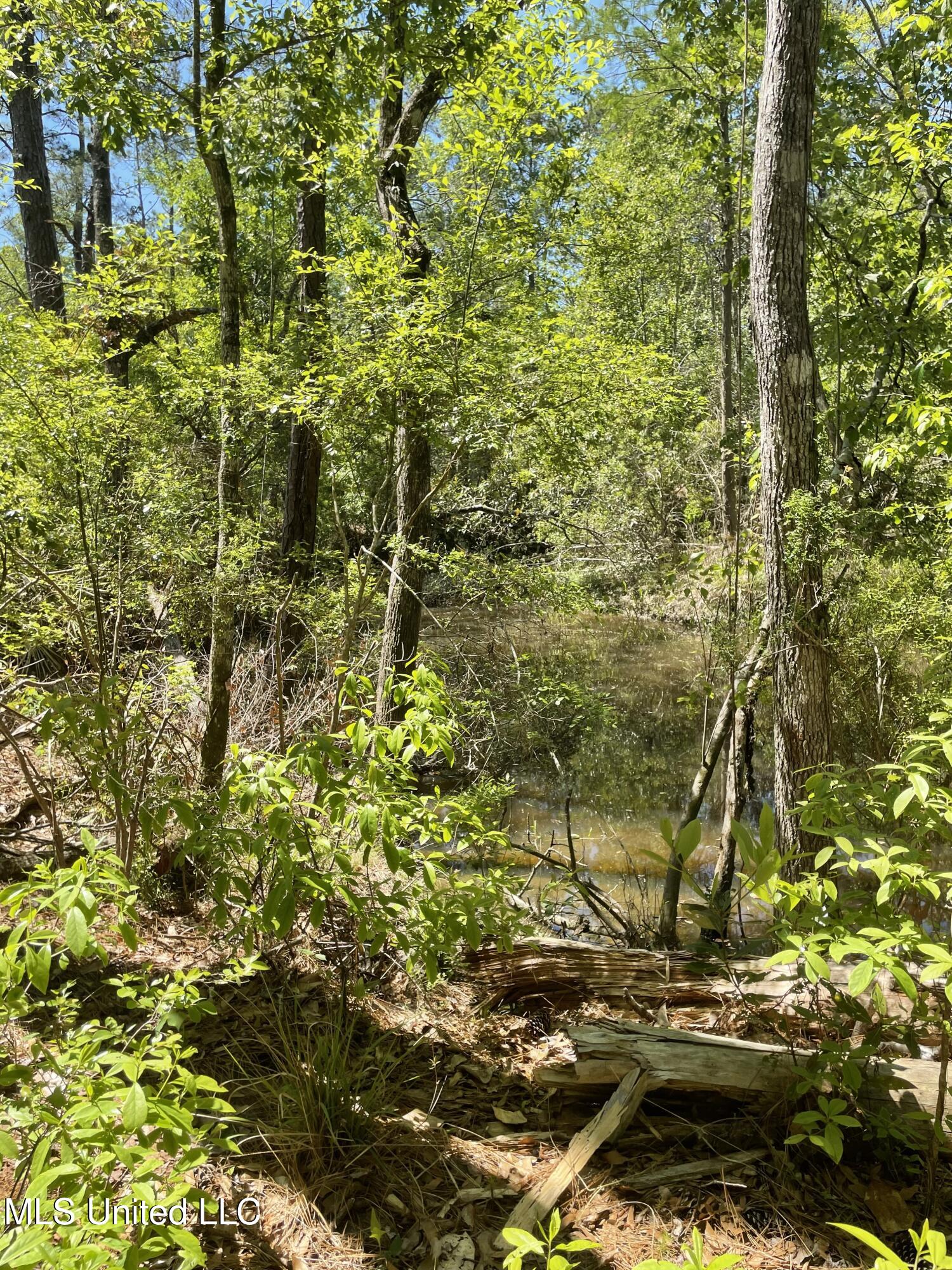 Rio Lado Lane Property Photo 11