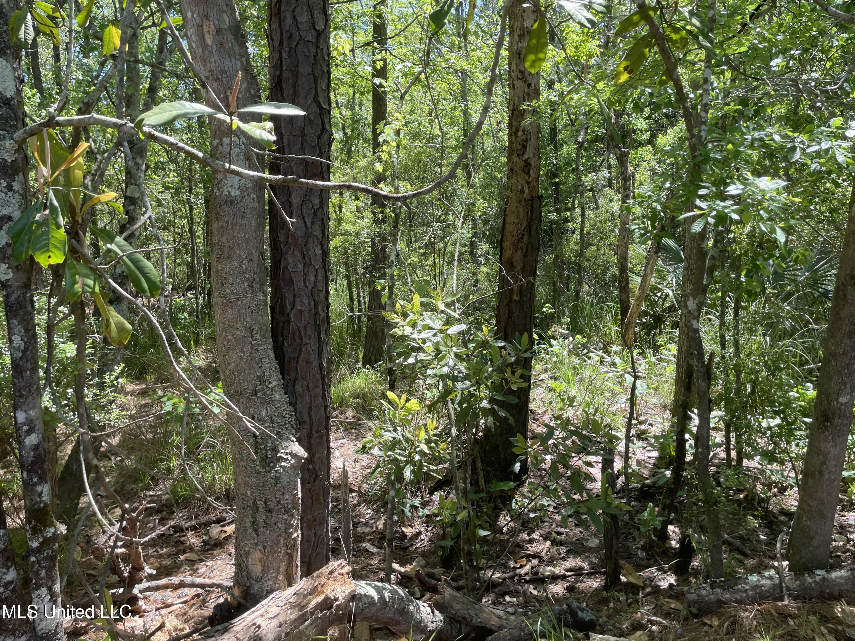 Rio Lado Lane Property Photo 13