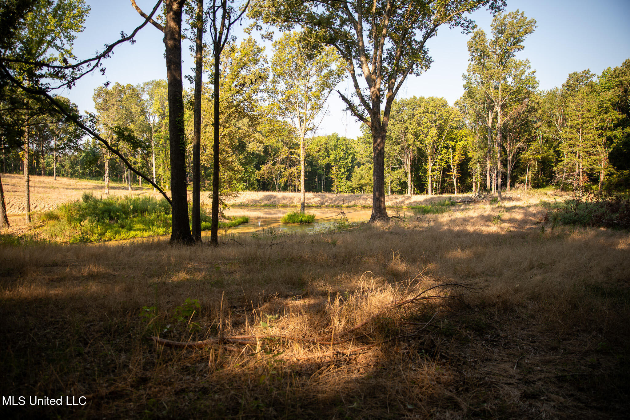 2286 Rosebank Mount Olive Rd Road Property Photo 6