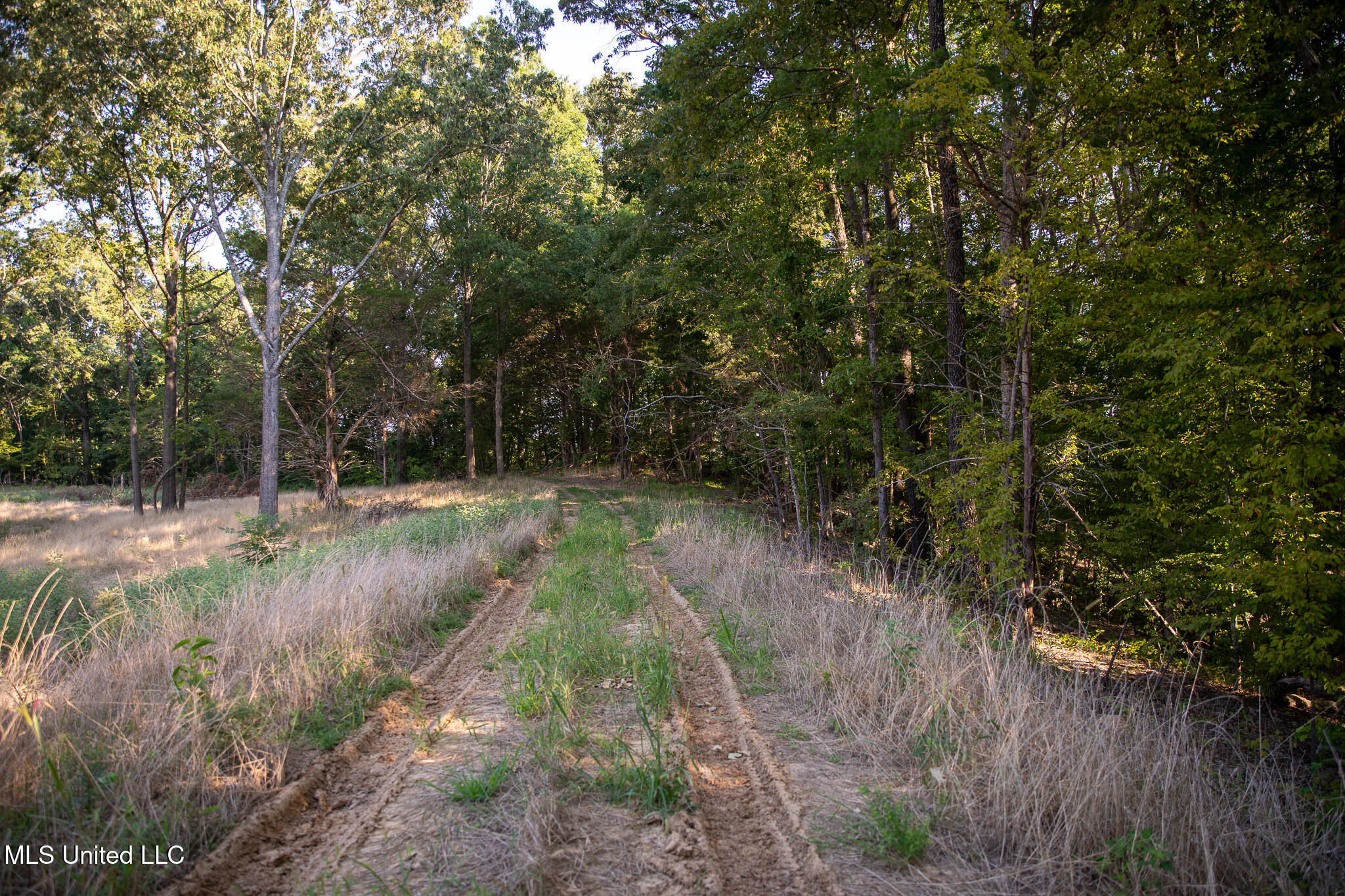 2286 Rosebank Mount Olive Rd Road Property Photo 18
