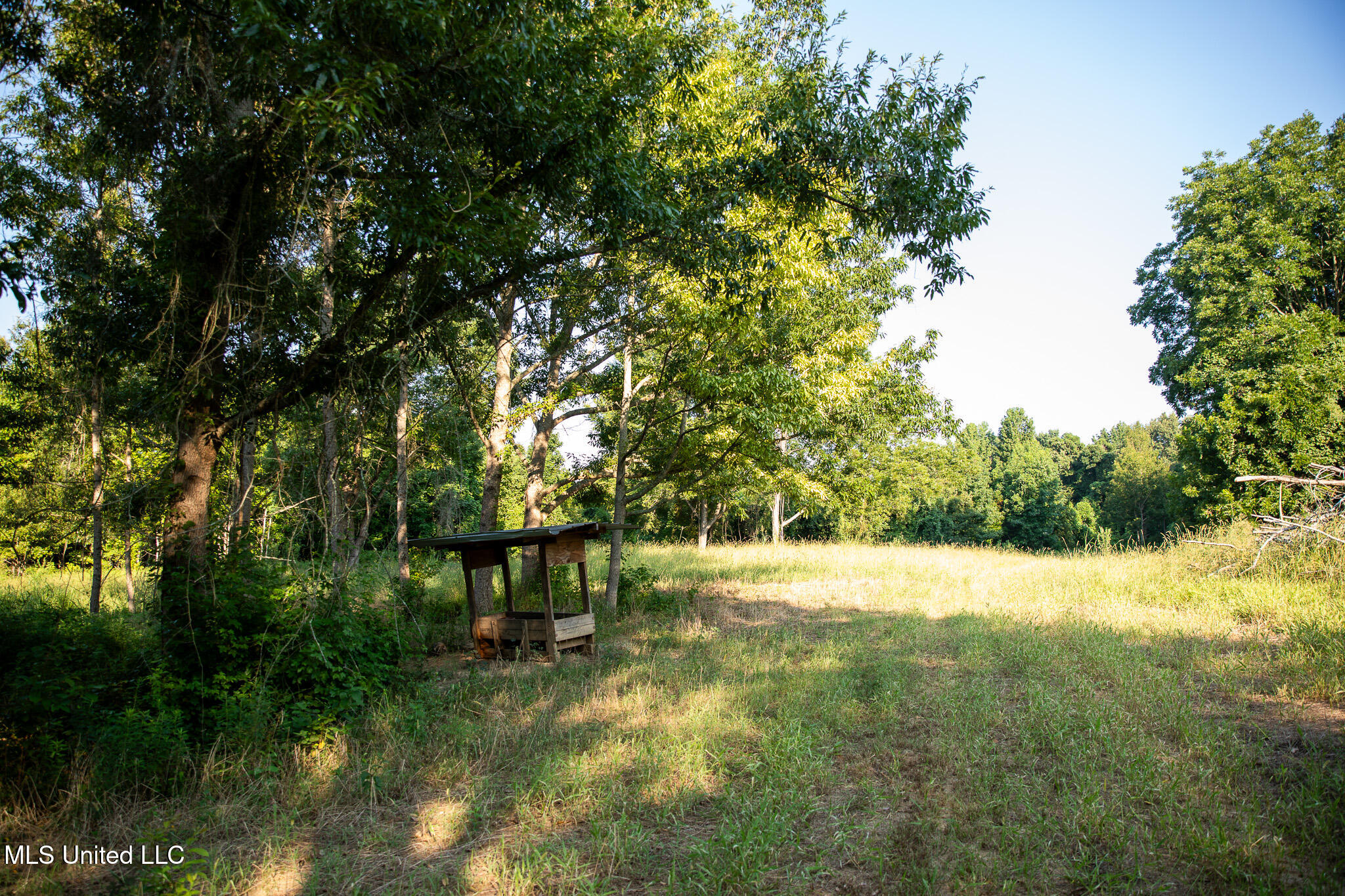 2286 Rosebank Mount Olive Rd Road Property Photo 21