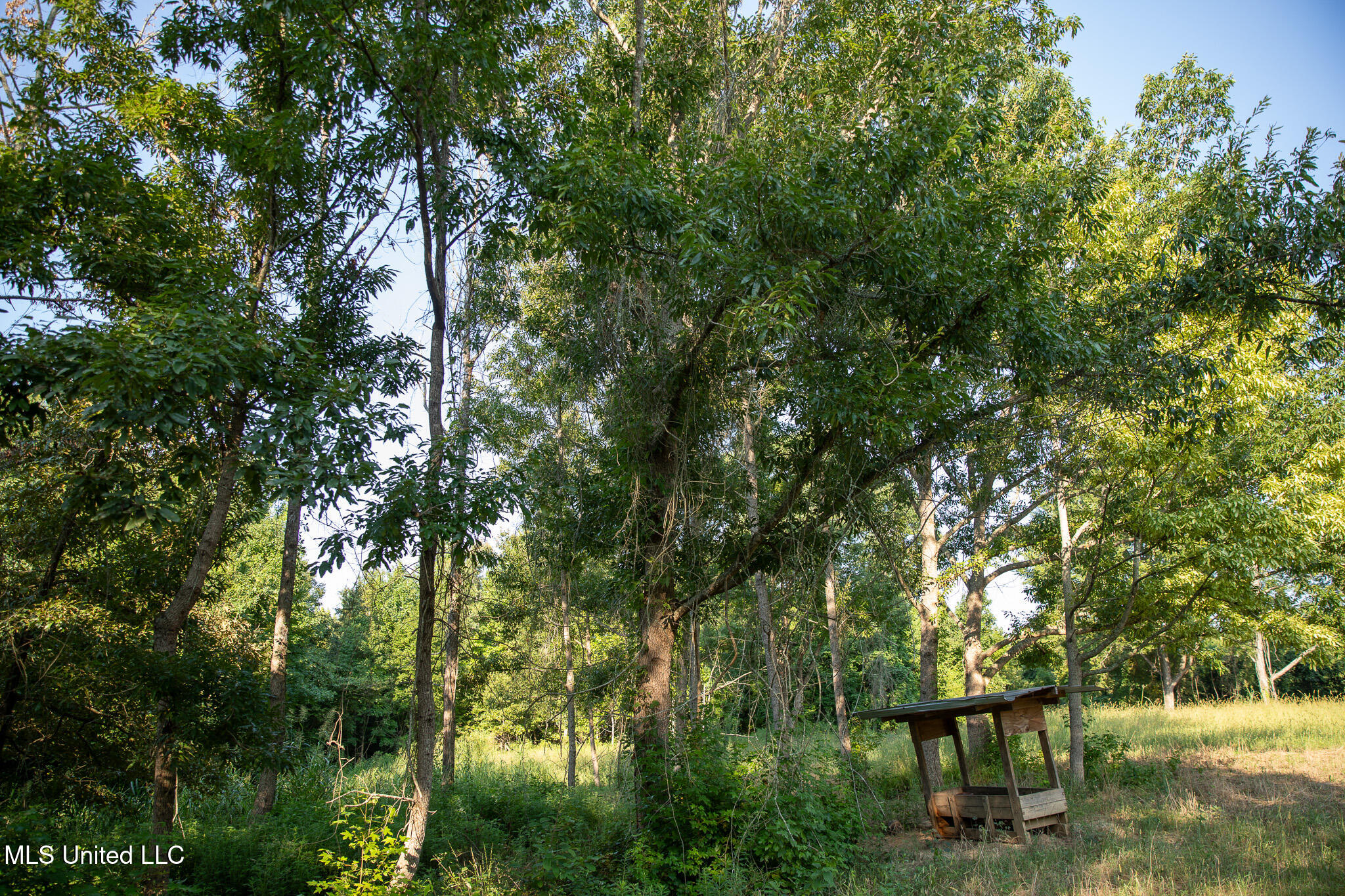 2286 Rosebank Mount Olive Rd Road Property Photo 24