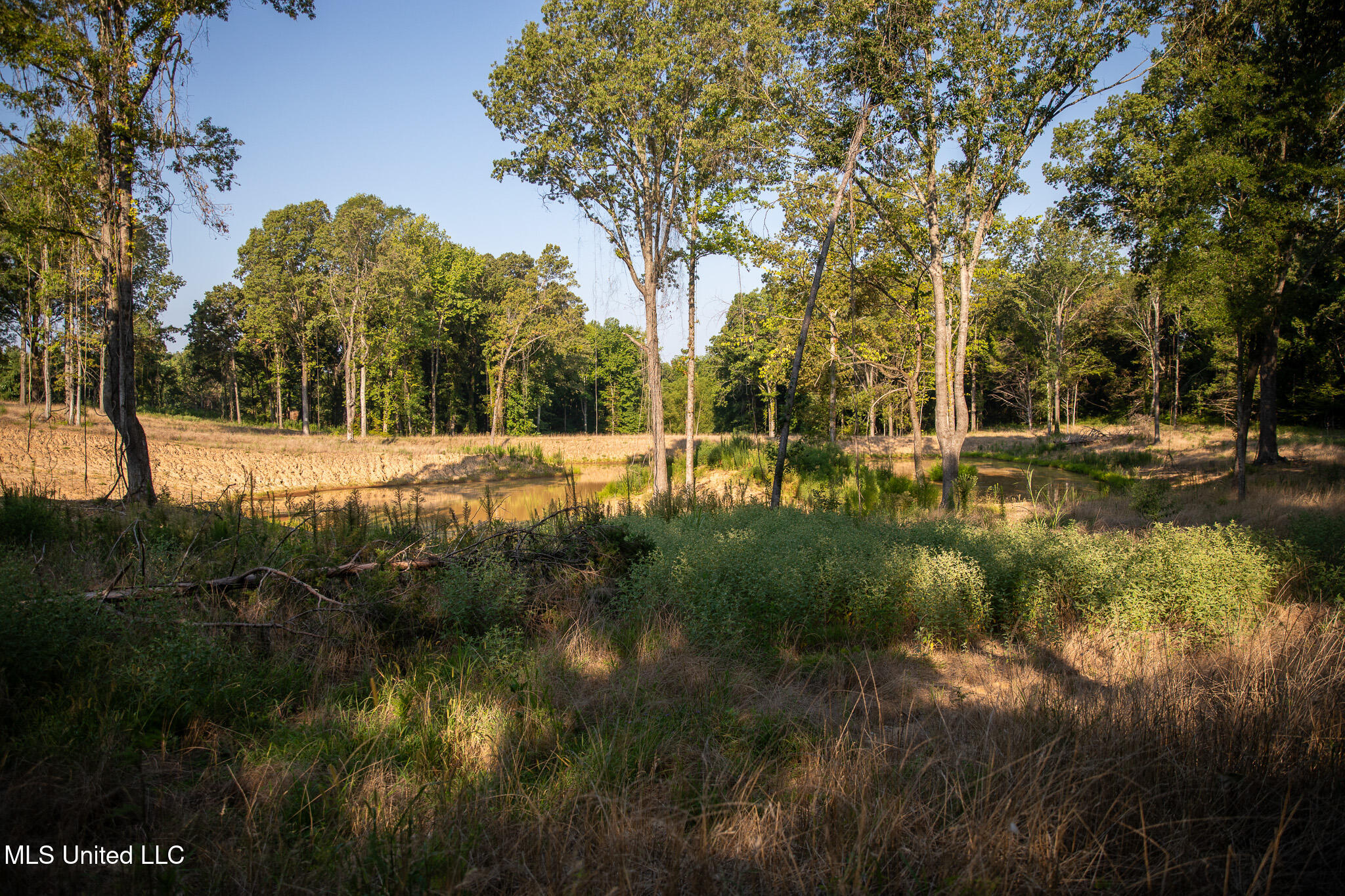 2286 Rosebank Mount Olive Rd Road Property Photo 28