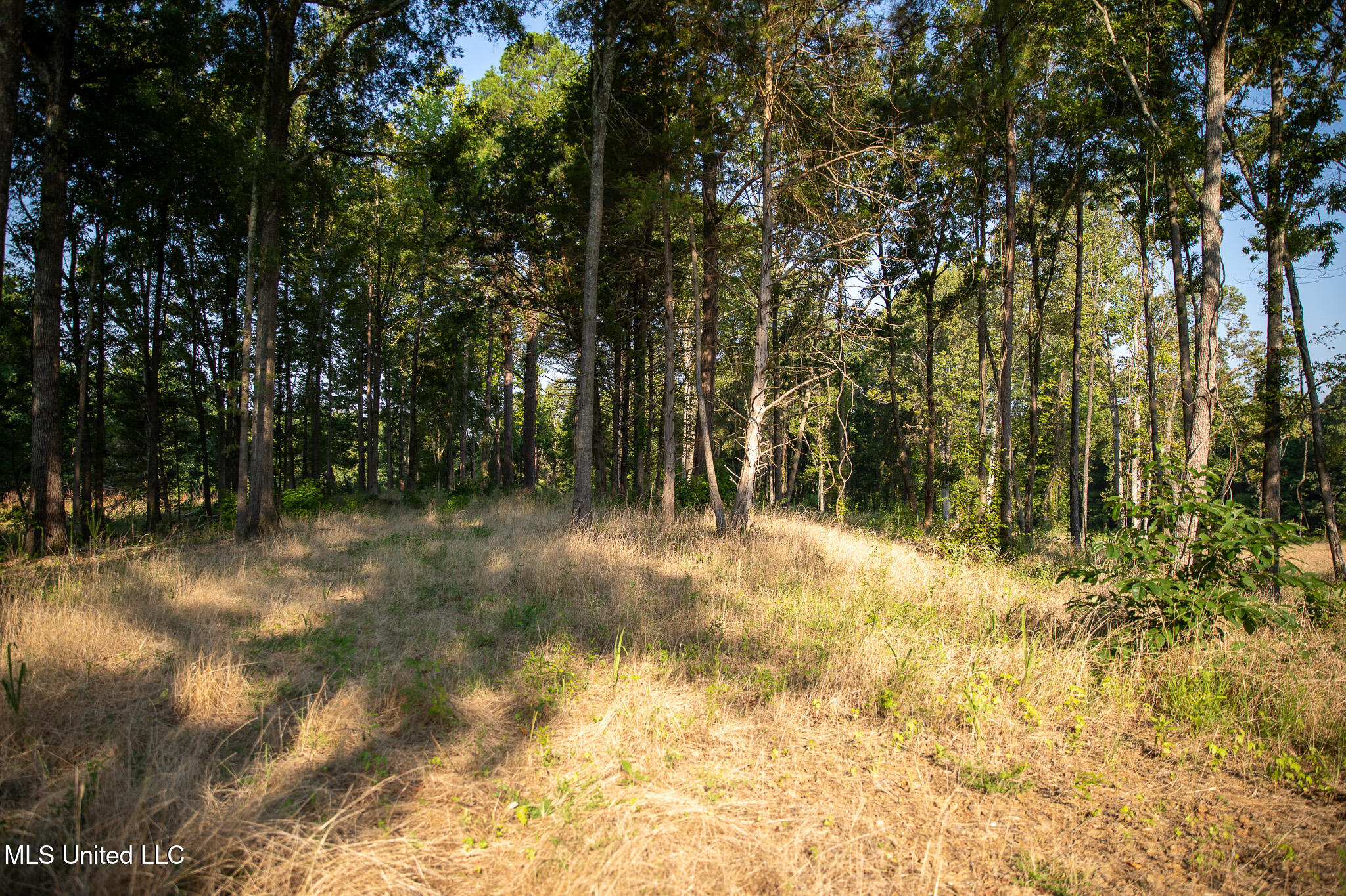 2286 Rosebank Mount Olive Rd Road Property Photo 30