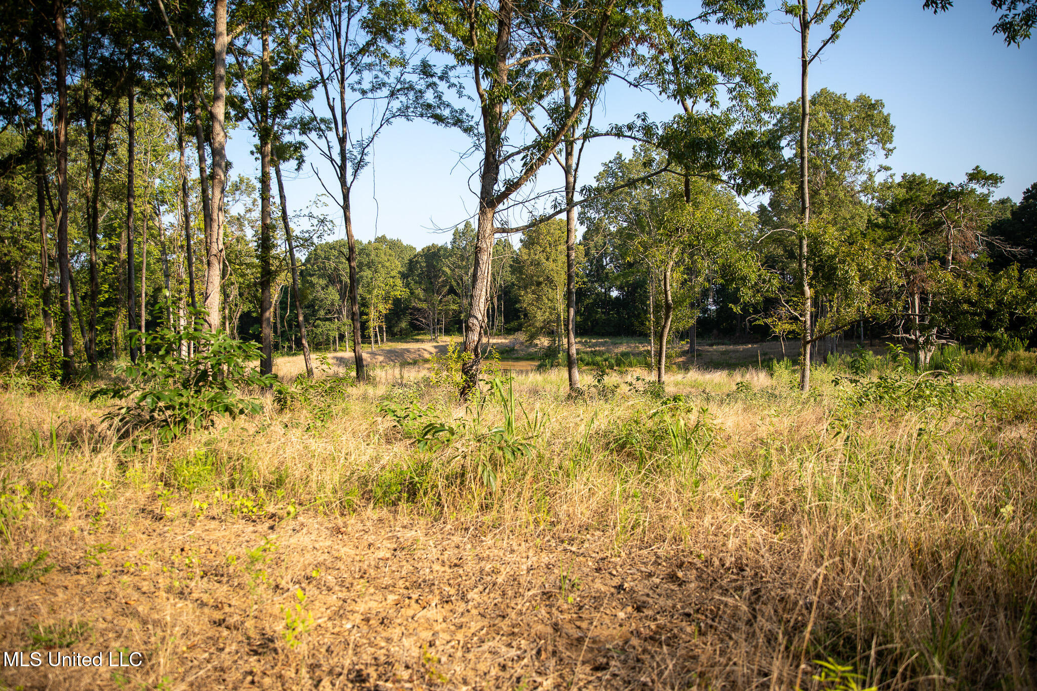 2286 Rosebank Mount Olive Rd Road Property Photo 39