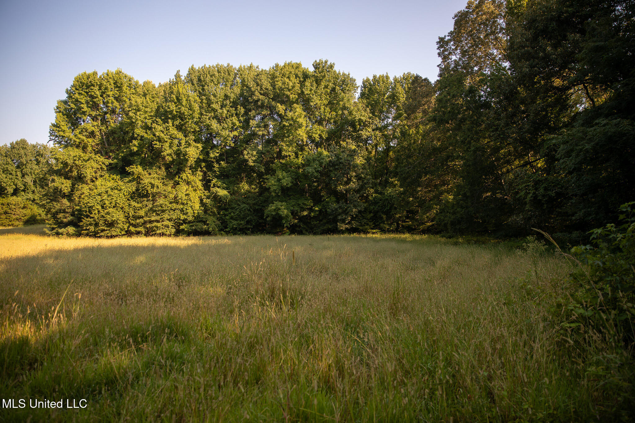 2286 Rosebank Mount Olive Rd Road Property Photo 40