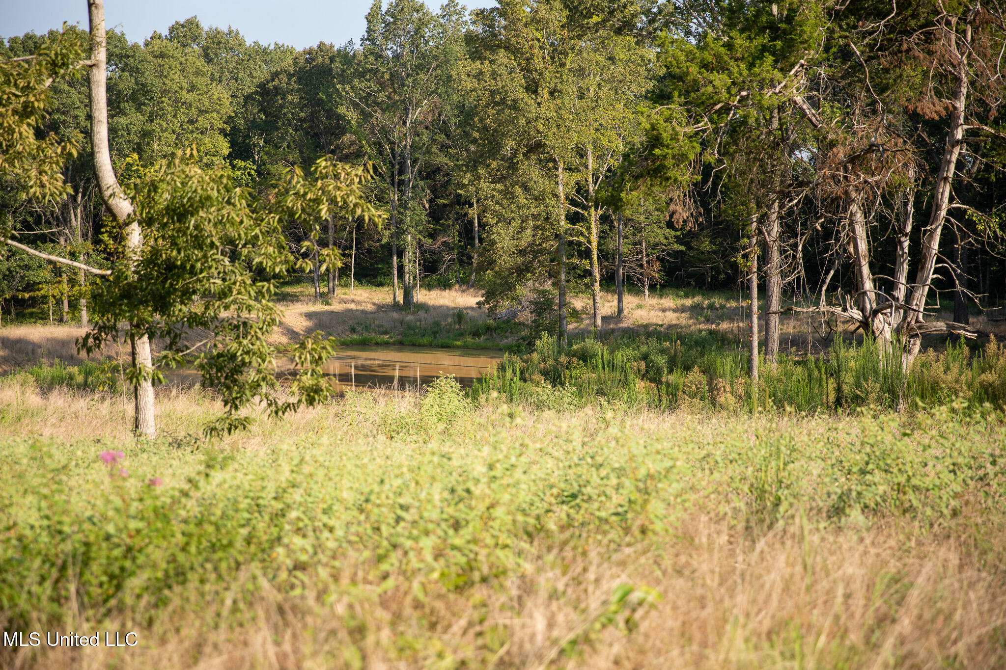 2286 Rosebank Mount Olive Rd Road Property Photo 41