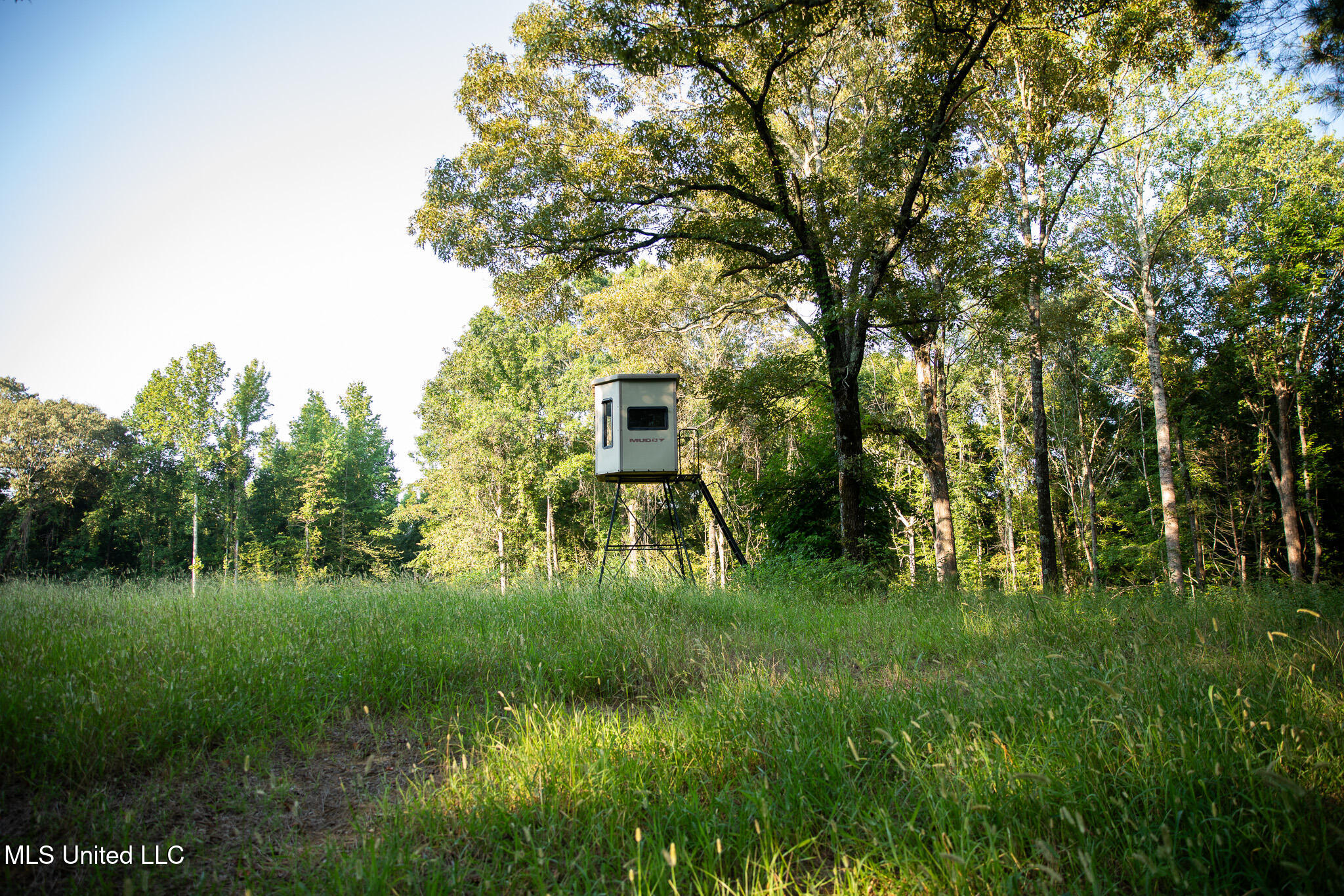 2286 Rosebank Mount Olive Rd Road Property Photo 44
