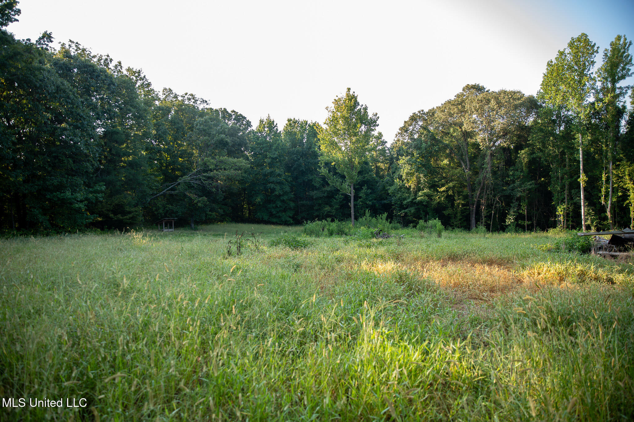 2286 Rosebank Mount Olive Rd Road Property Photo 47