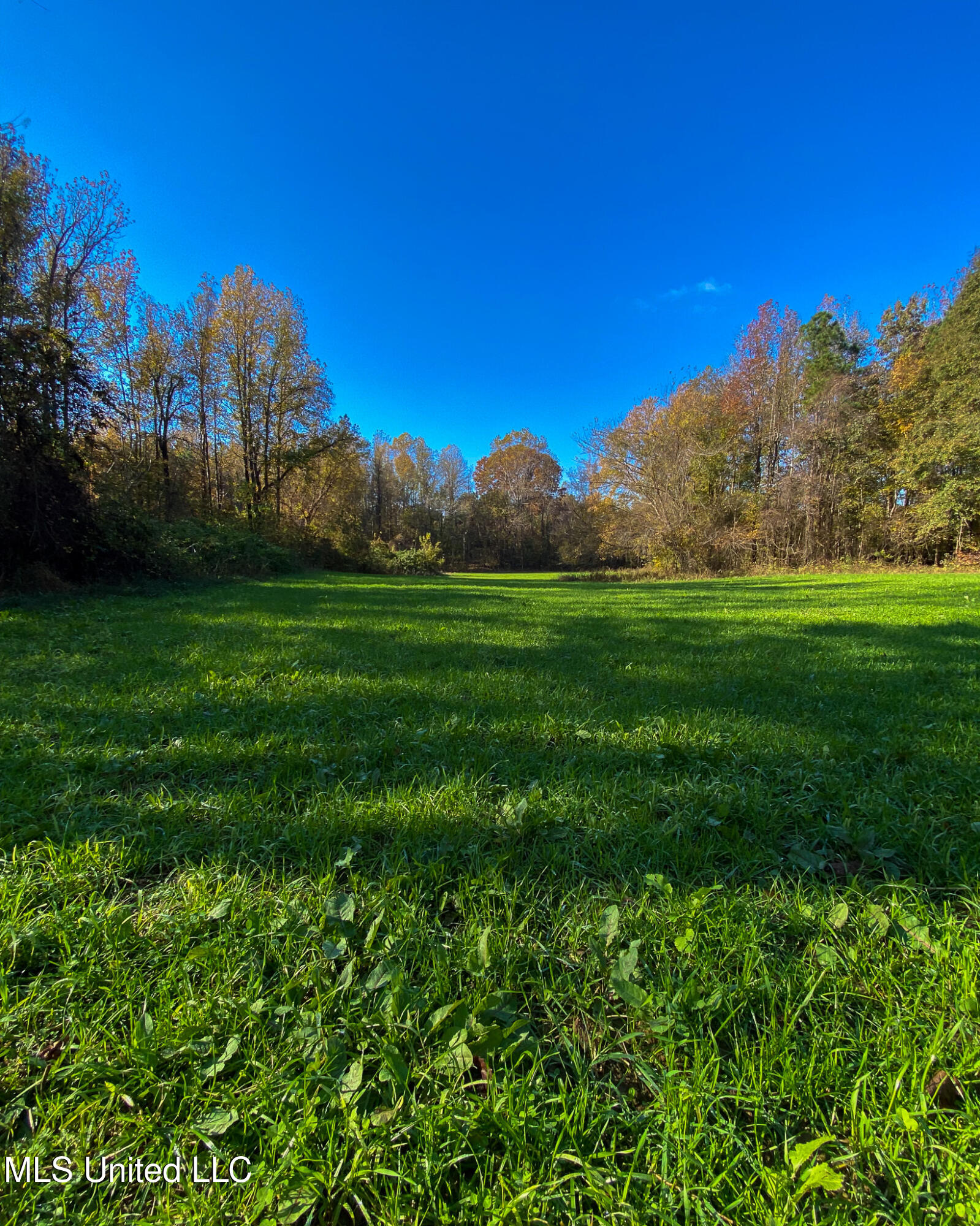 2286 Rosebank Mount Olive Rd Road Property Photo 48