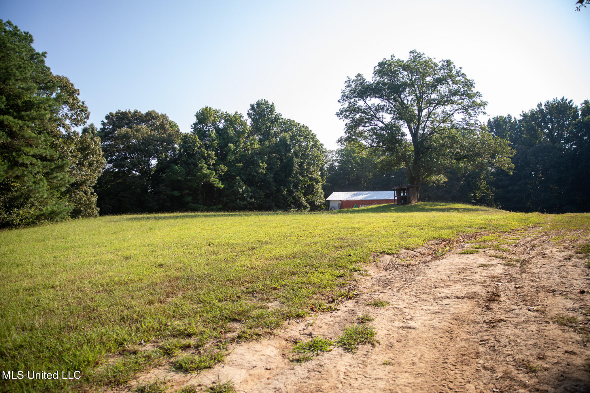 2286 Rosebank Mount Olive Rd Road Property Photo 59