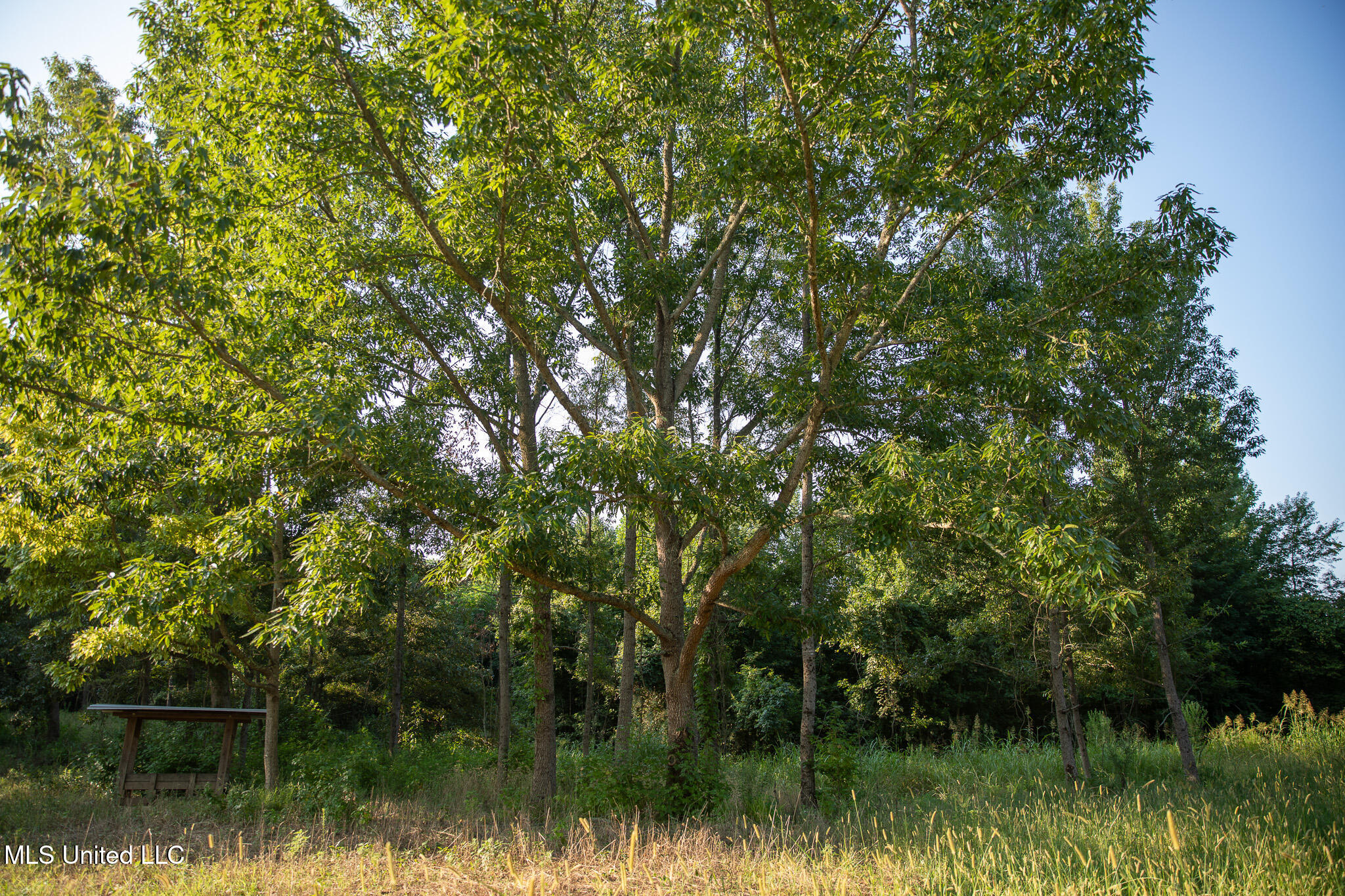 2286 Rosebank Mount Olive Rd Road Property Photo 65