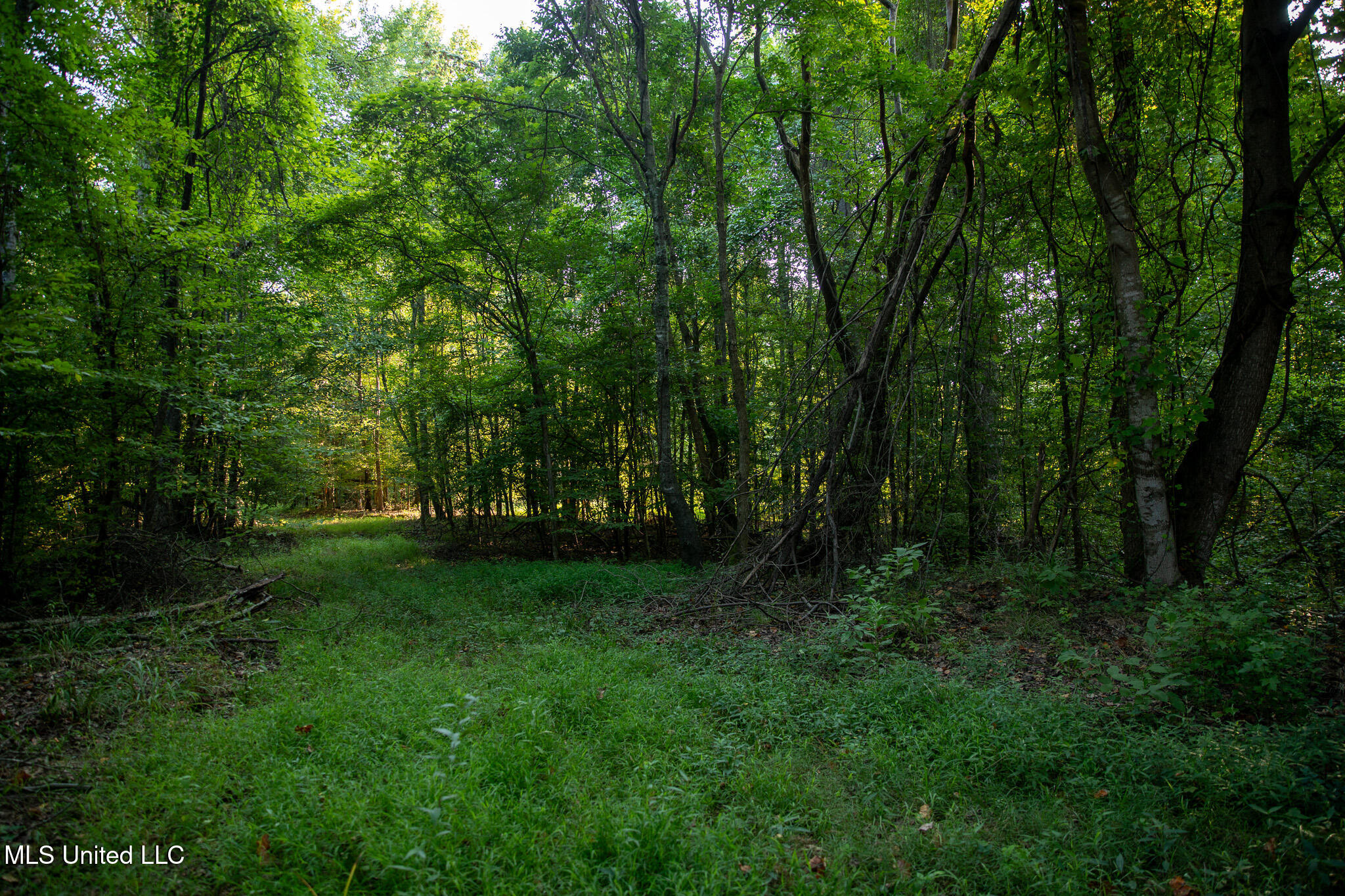 2286 Rosebank Mount Olive Rd Road Property Photo 74