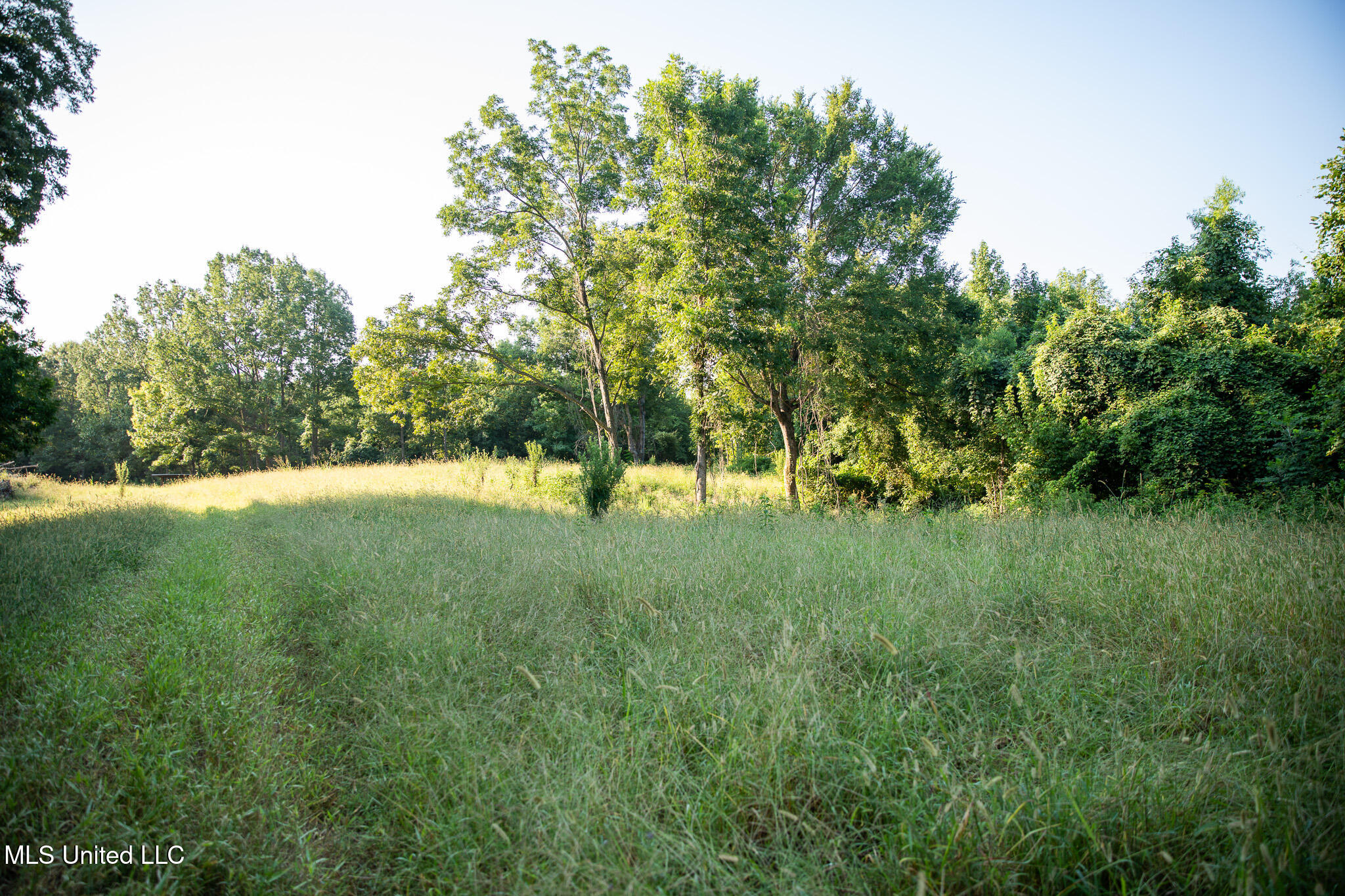 2286 Rosebank Mount Olive Rd Road Property Photo 84