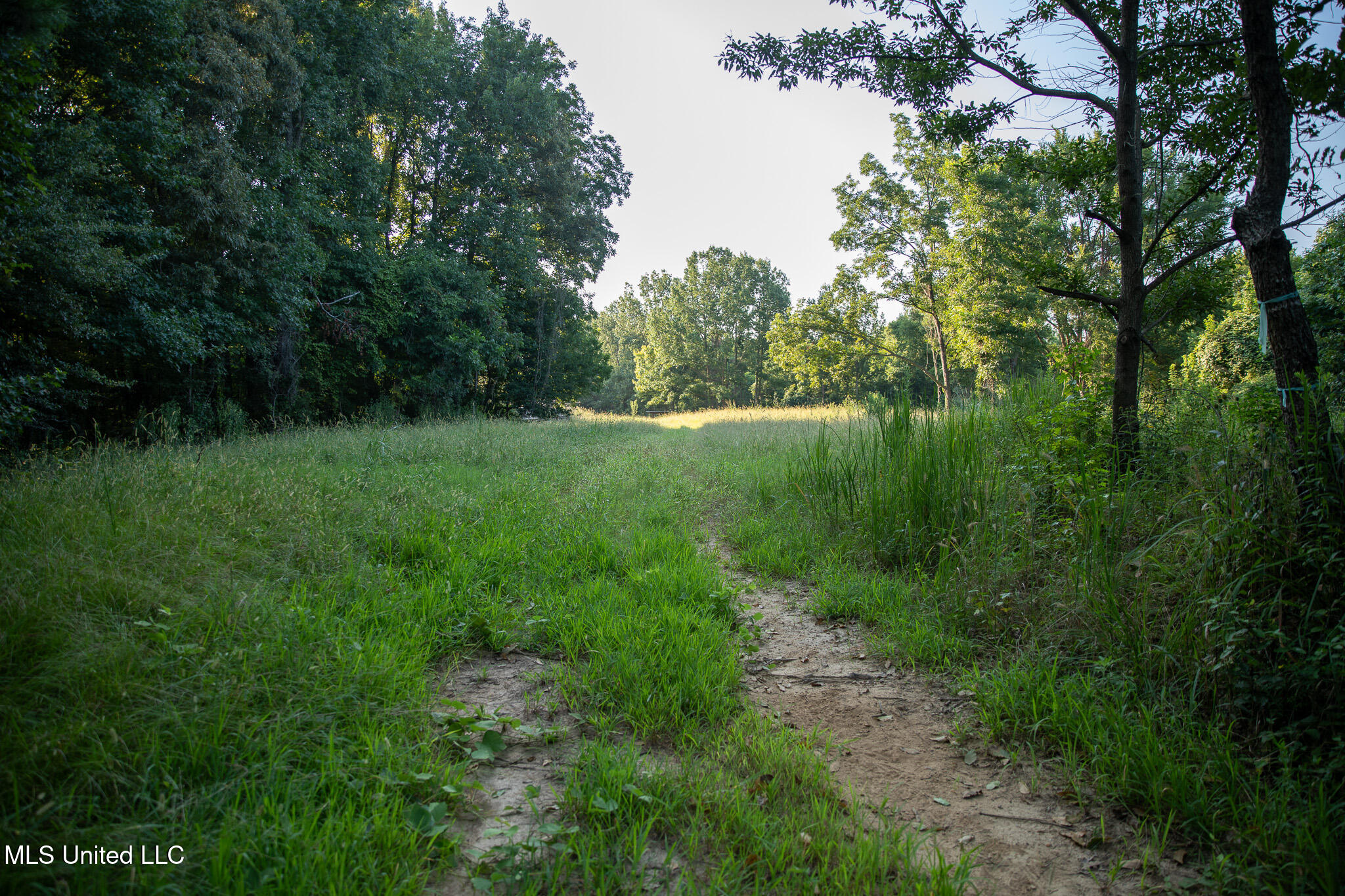 2286 Rosebank Mount Olive Rd Road Property Photo 92