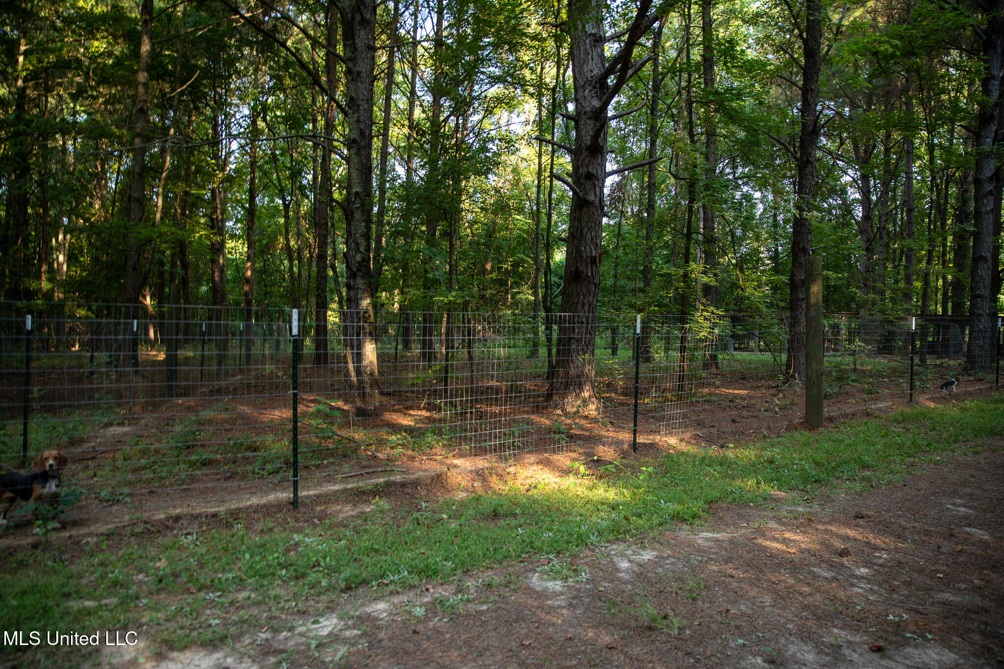 2286 Rosebank Mount Olive Rd Road Property Photo 118