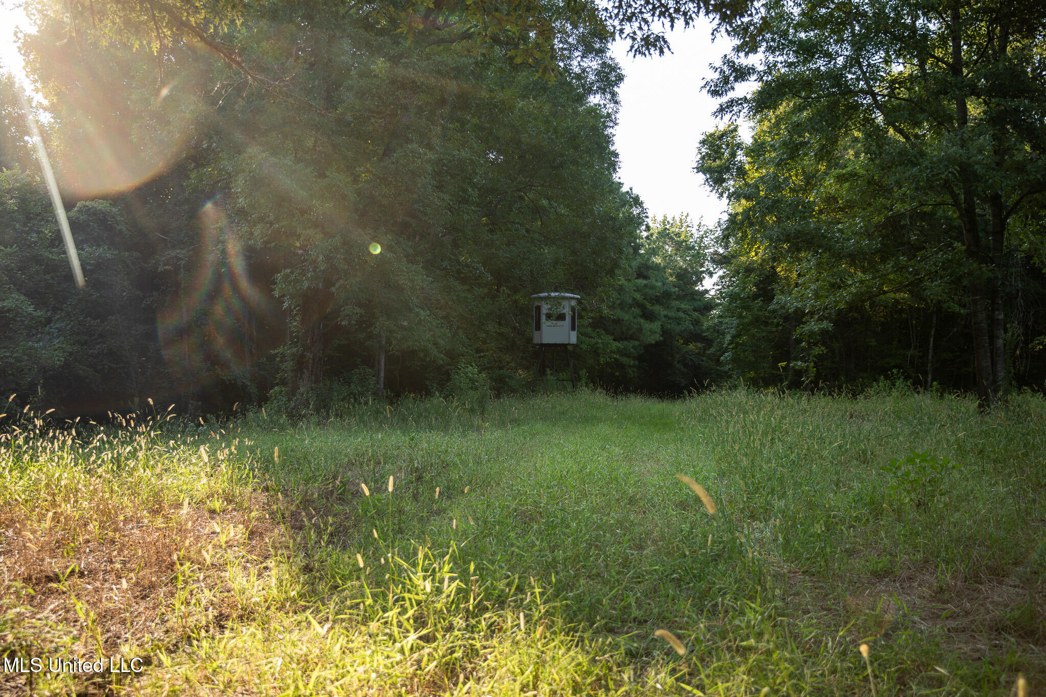 2286 Rosebank Mount Olive Rd Road Property Photo 124