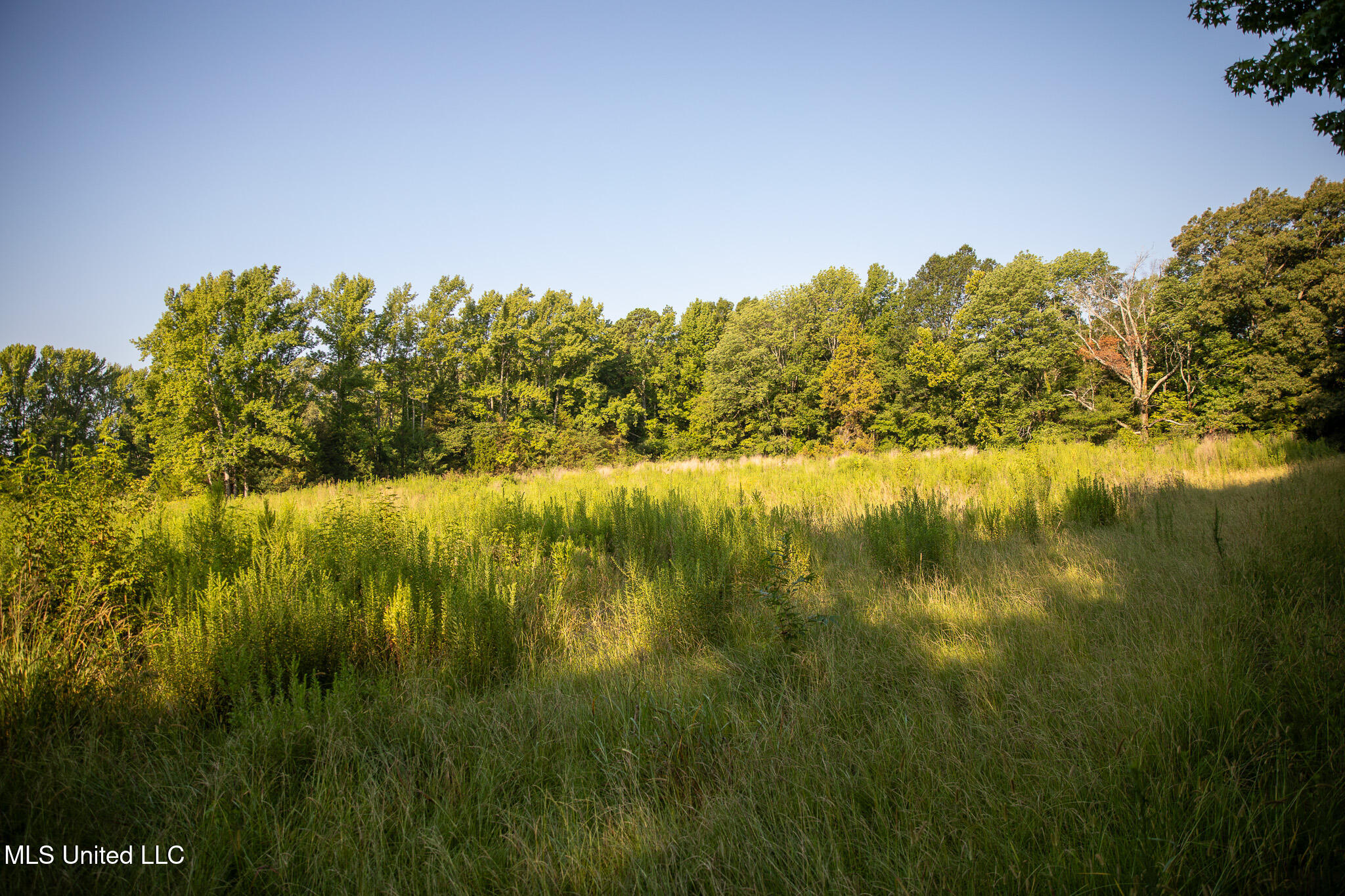 2286 Rosebank Mount Olive Rd Road Property Photo 135