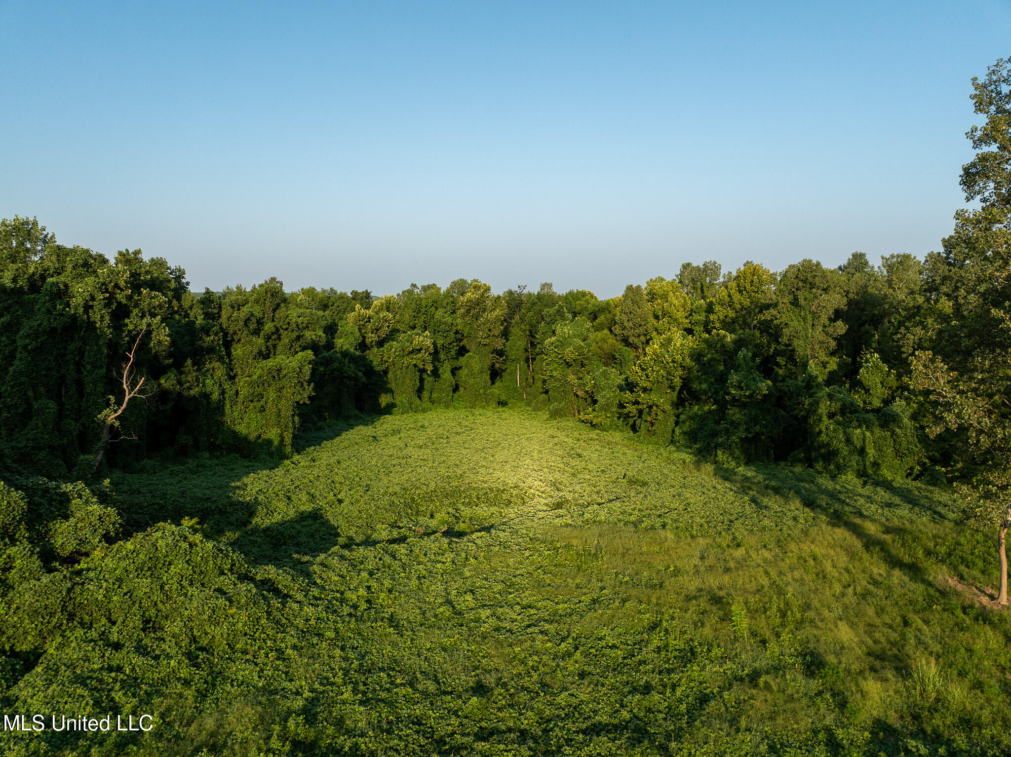 2286 Rosebank Mount Olive Rd Road Property Photo 137