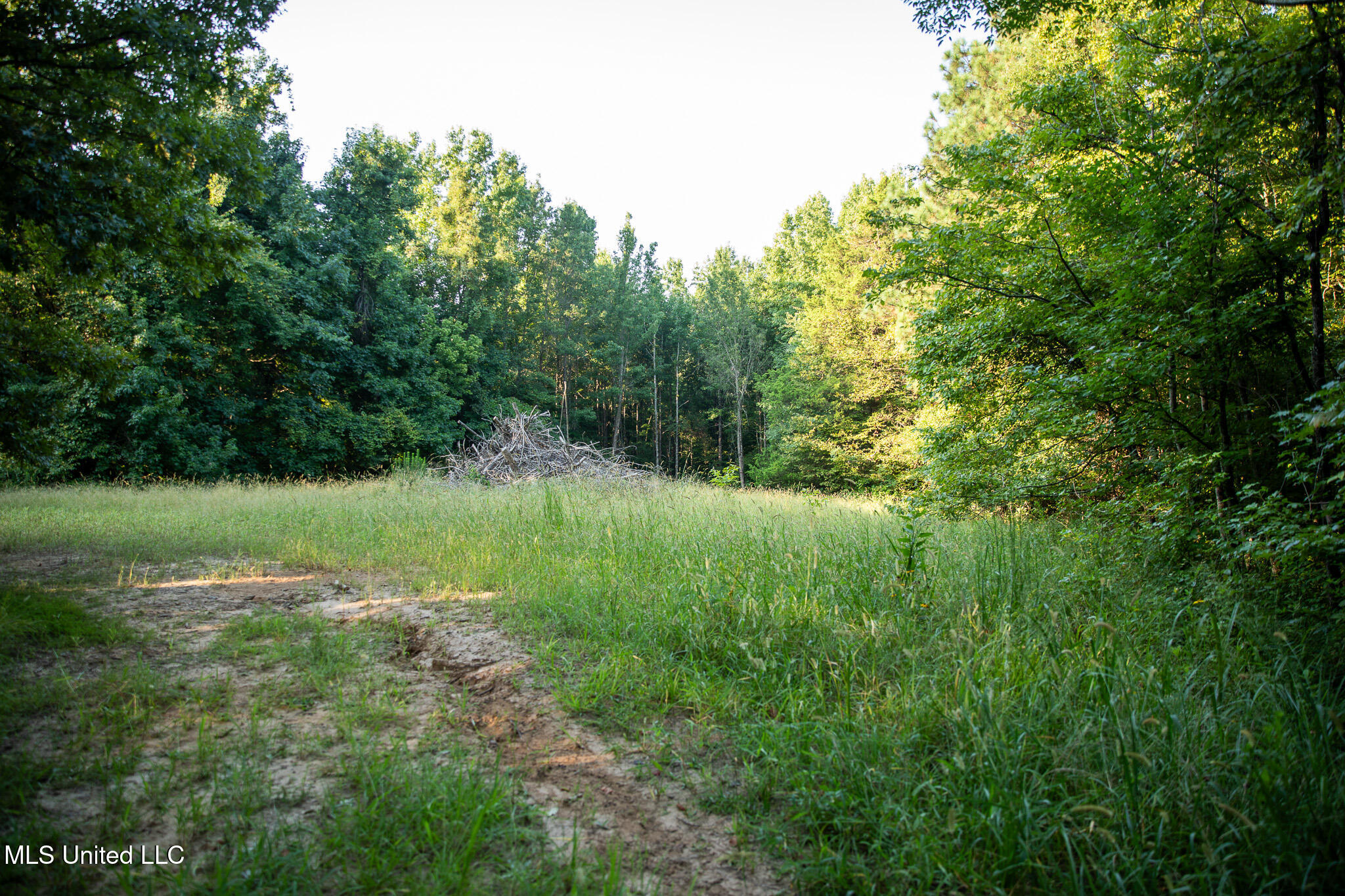 2286 Rosebank Mount Olive Rd Road Property Photo 153