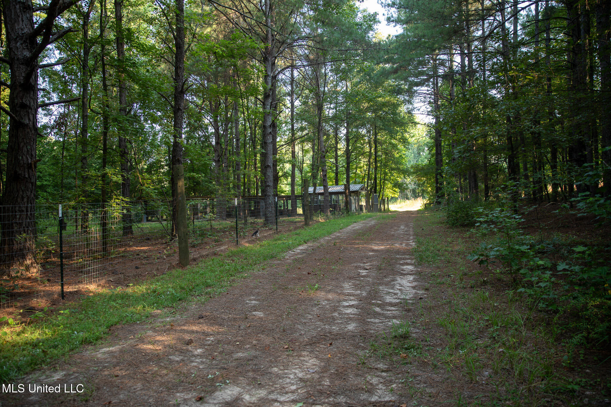 2286 Rosebank Mount Olive Rd Road Property Photo 158