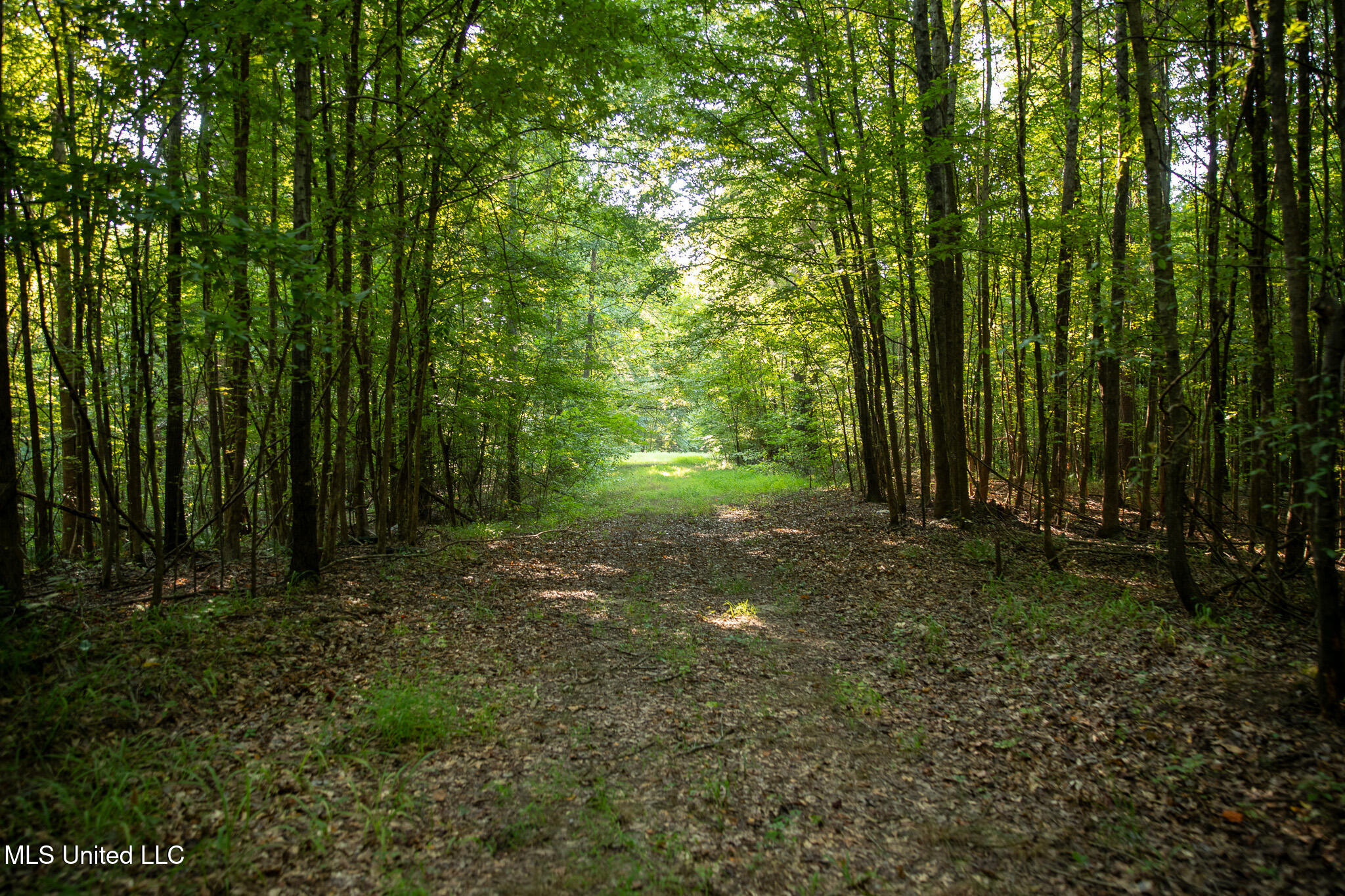 2286 Rosebank Mount Olive Rd Road Property Photo 171