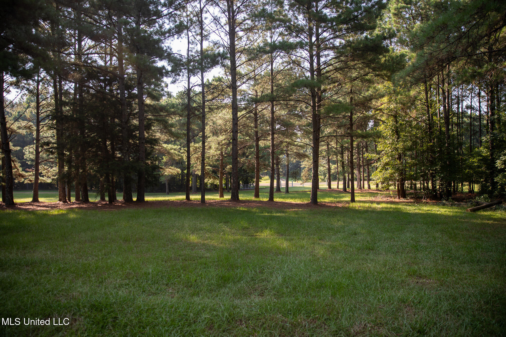 2286 Rosebank Mount Olive Rd Road Property Photo 192