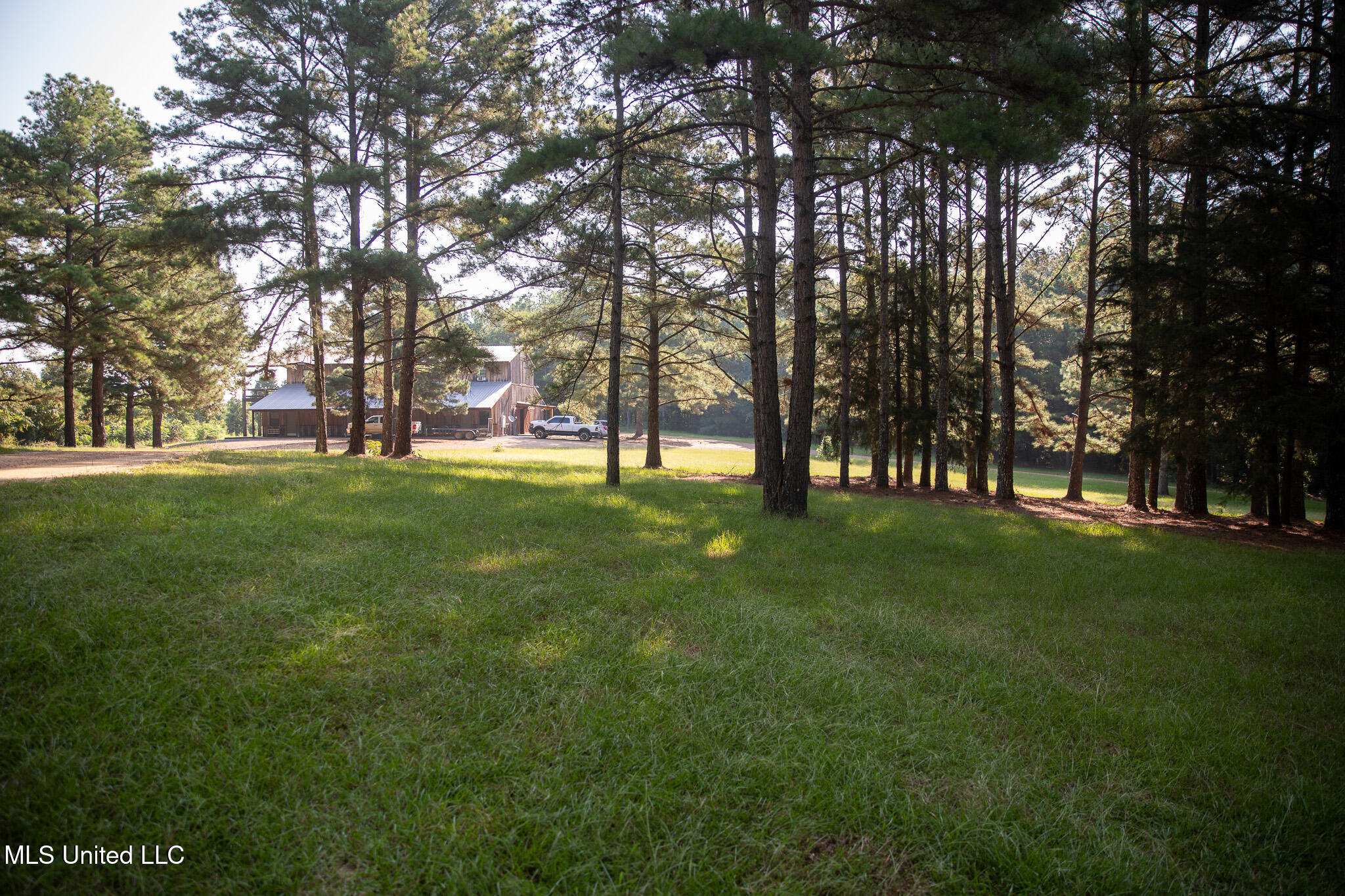 2286 Rosebank Mount Olive Rd Road Property Photo 198
