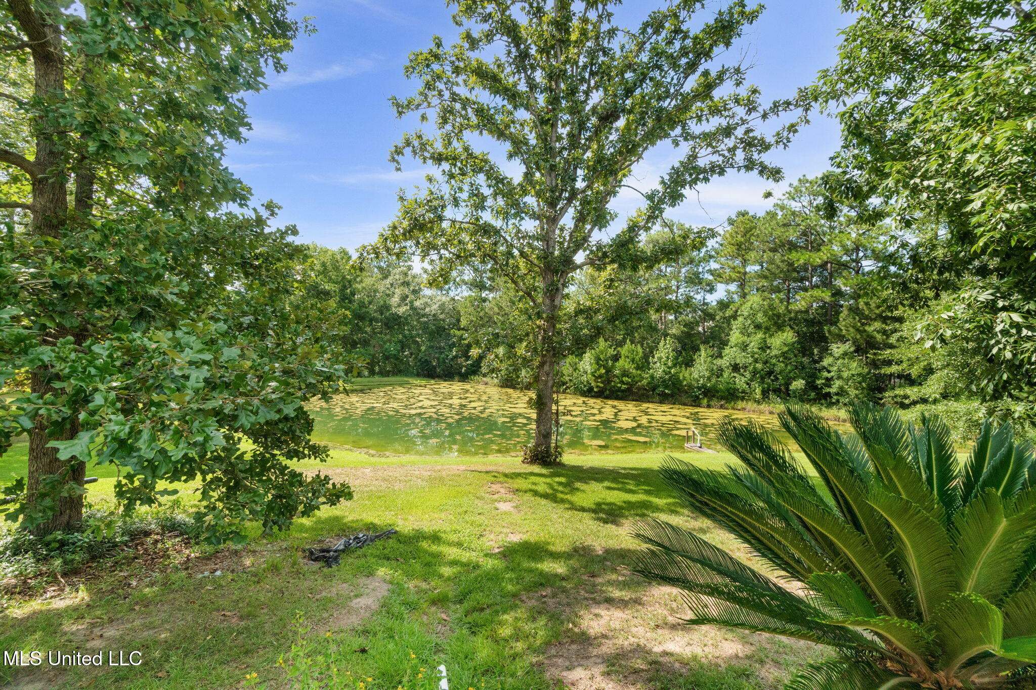 1814 Old Highway 24 Property Photo 64