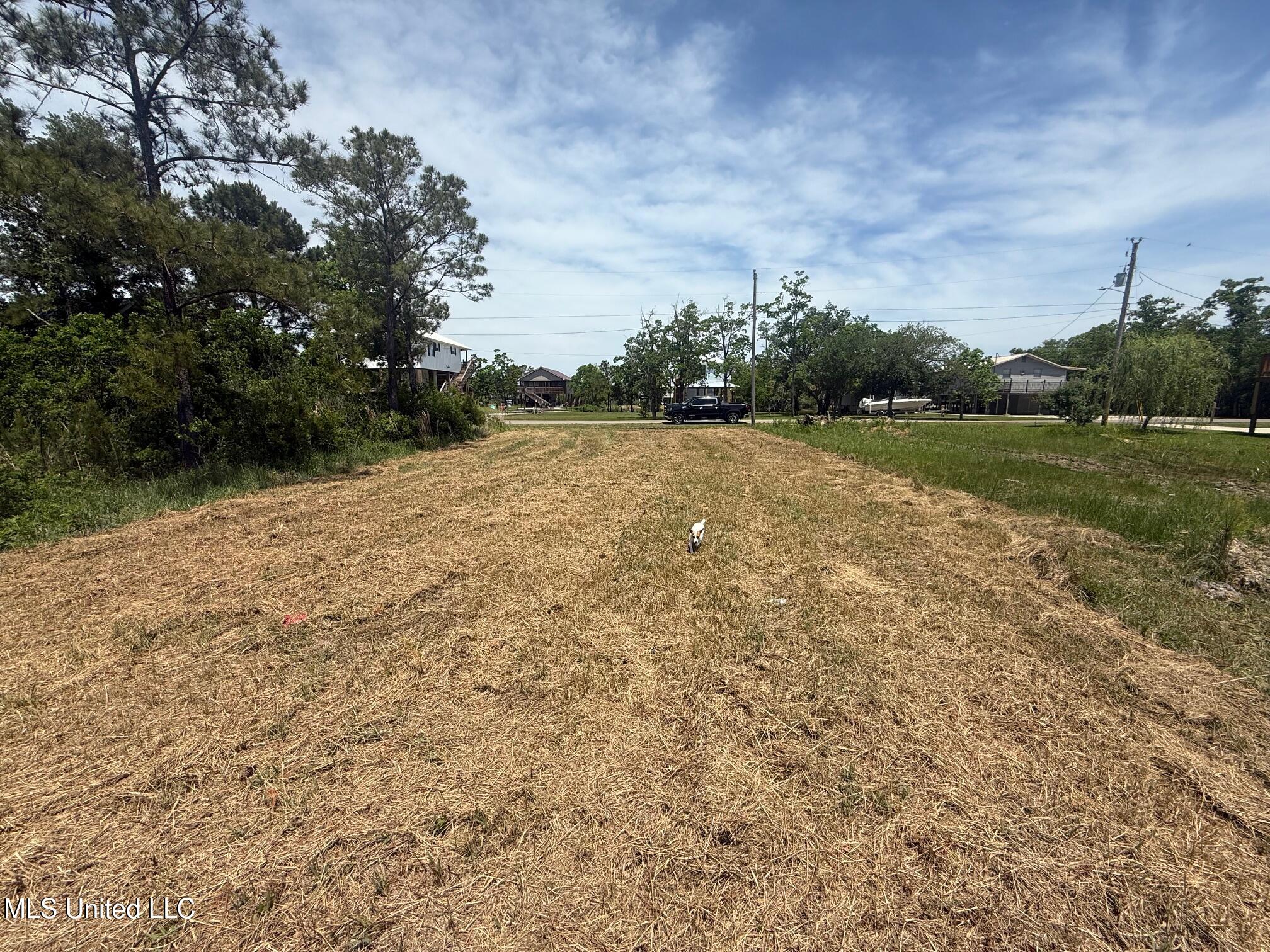 Kansas Street Property Photo 3
