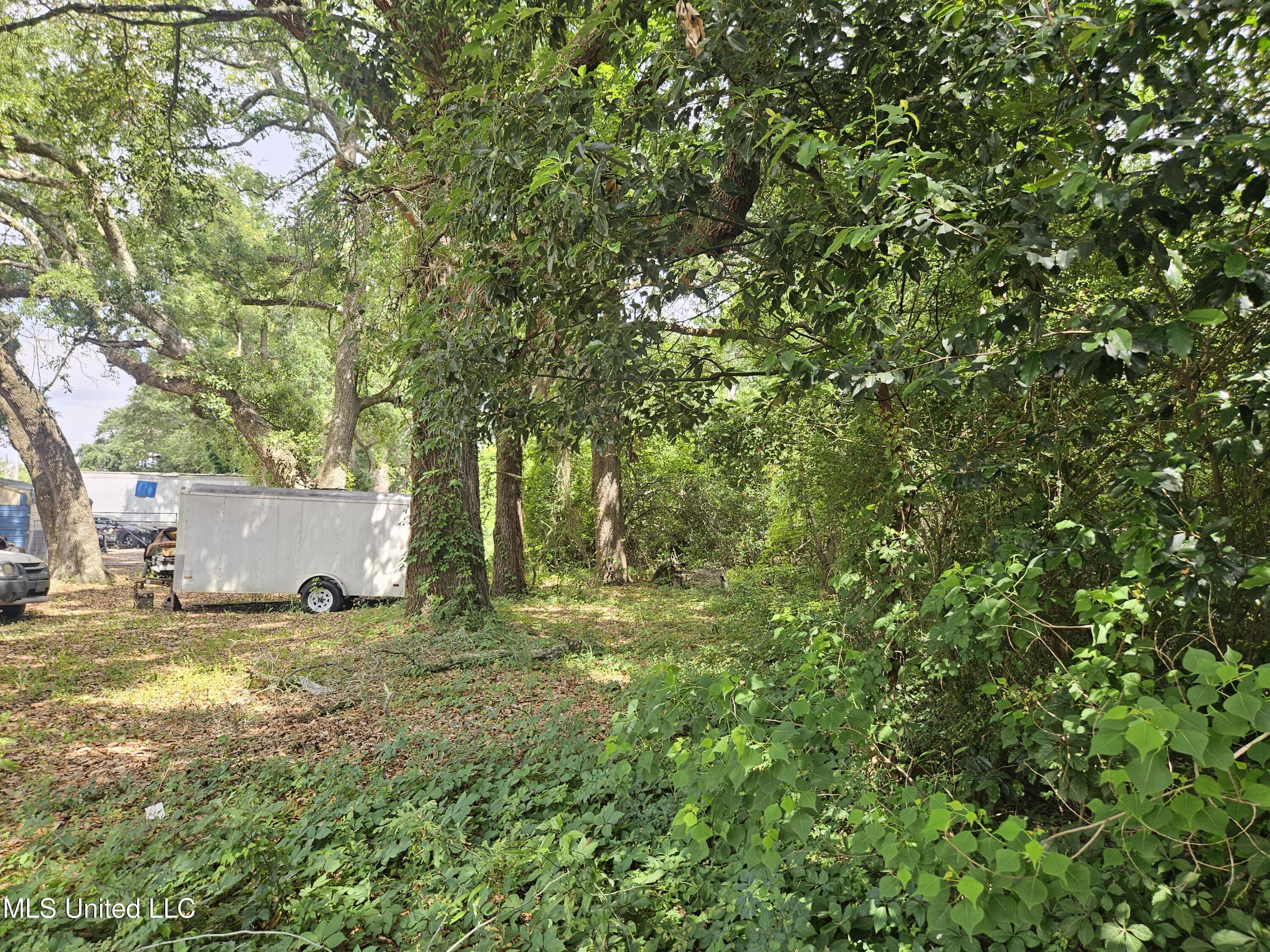 0 Pass Road Property Photo 6