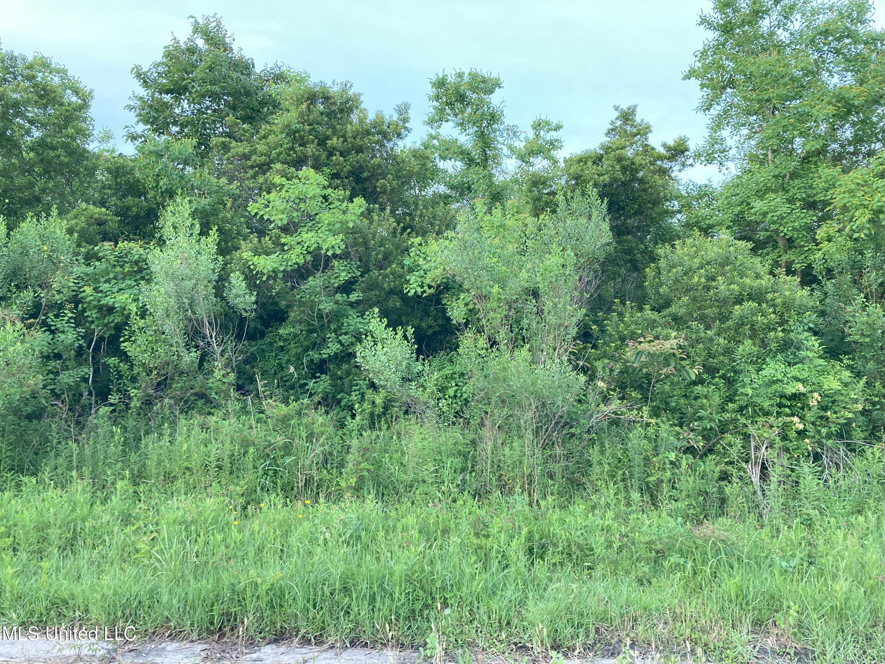 Pecan Avenue Property Photo 3