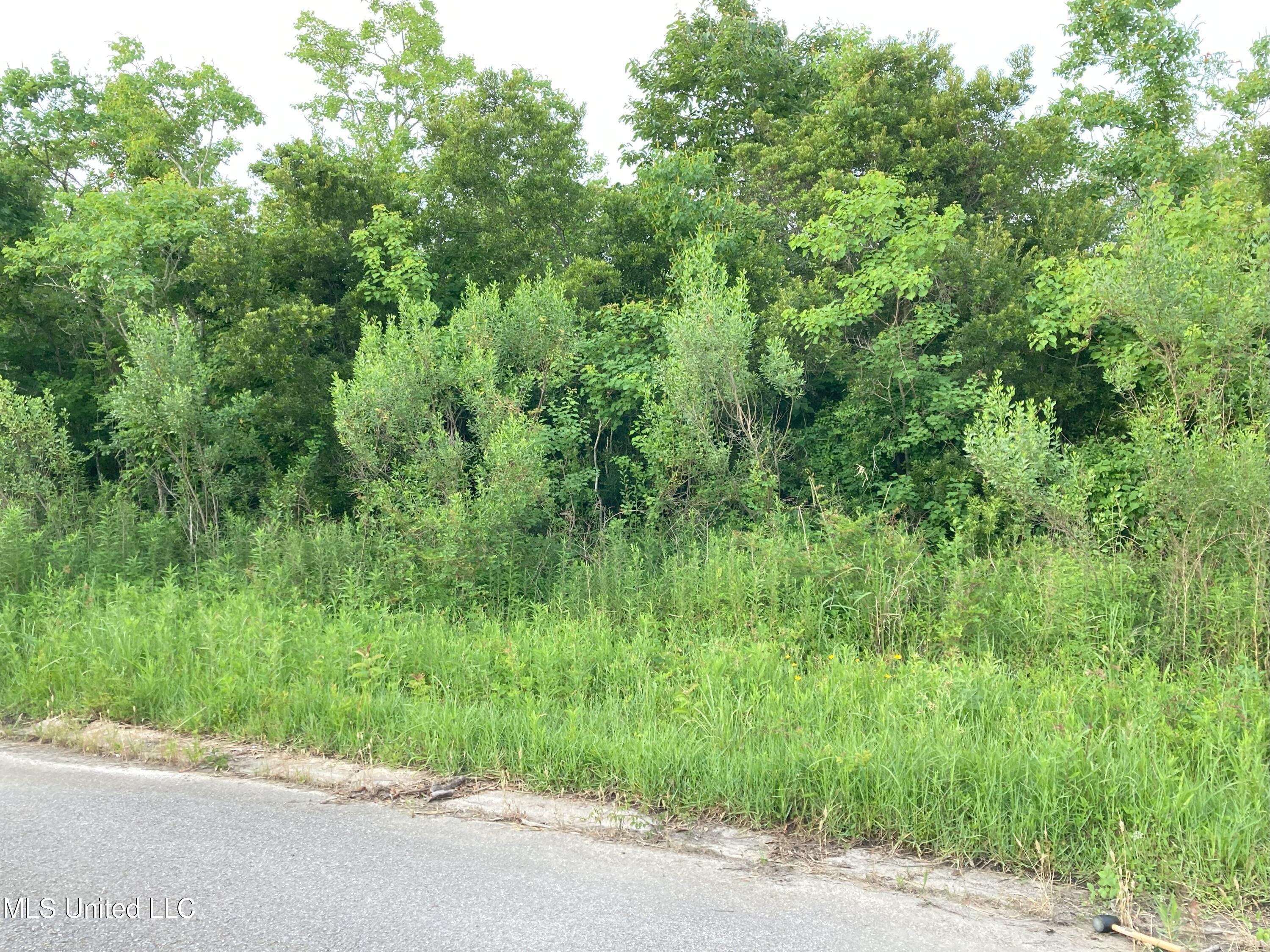 Pecan Avenue Property Photo 4