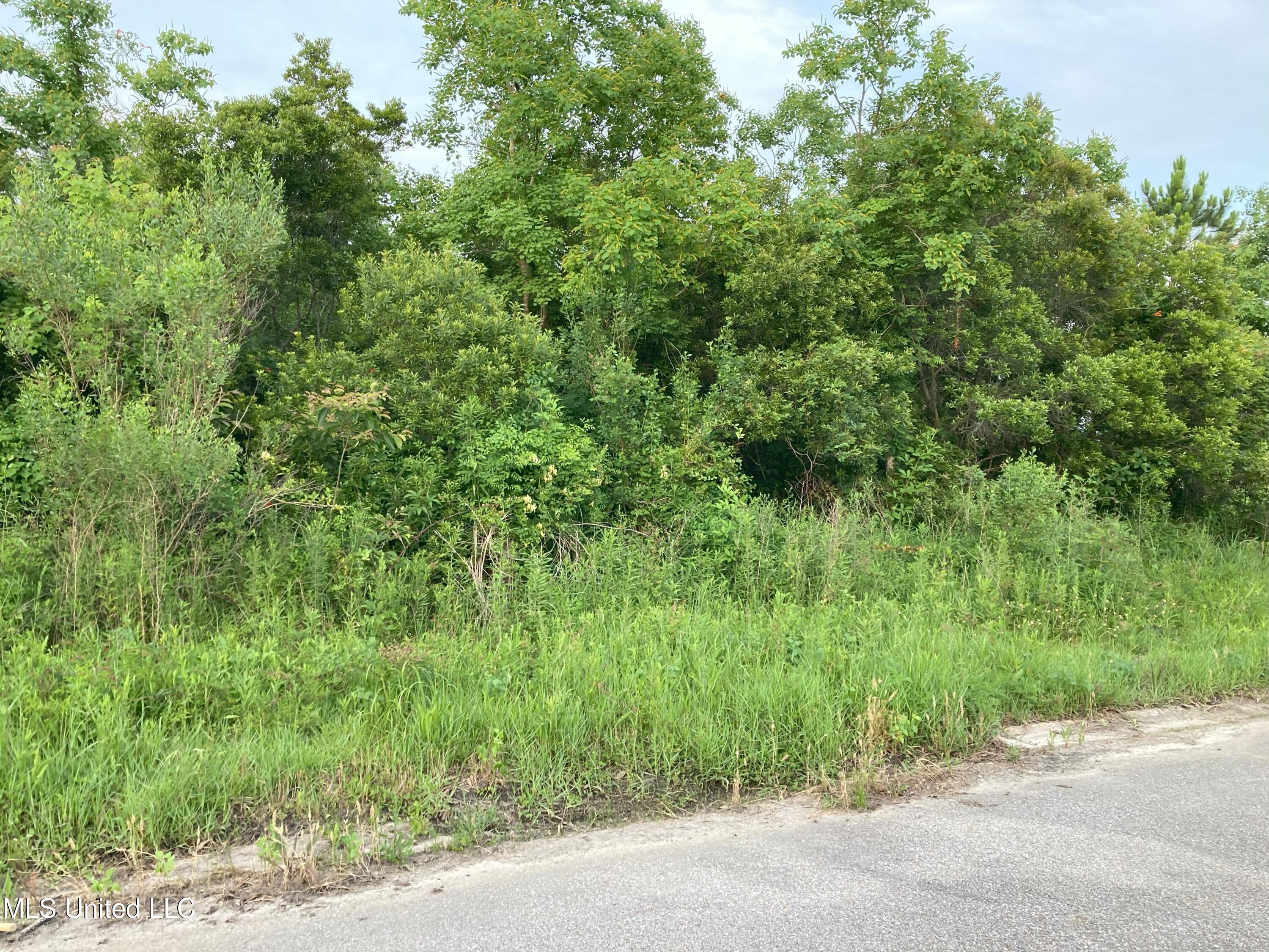 Pecan Avenue Property Photo 5