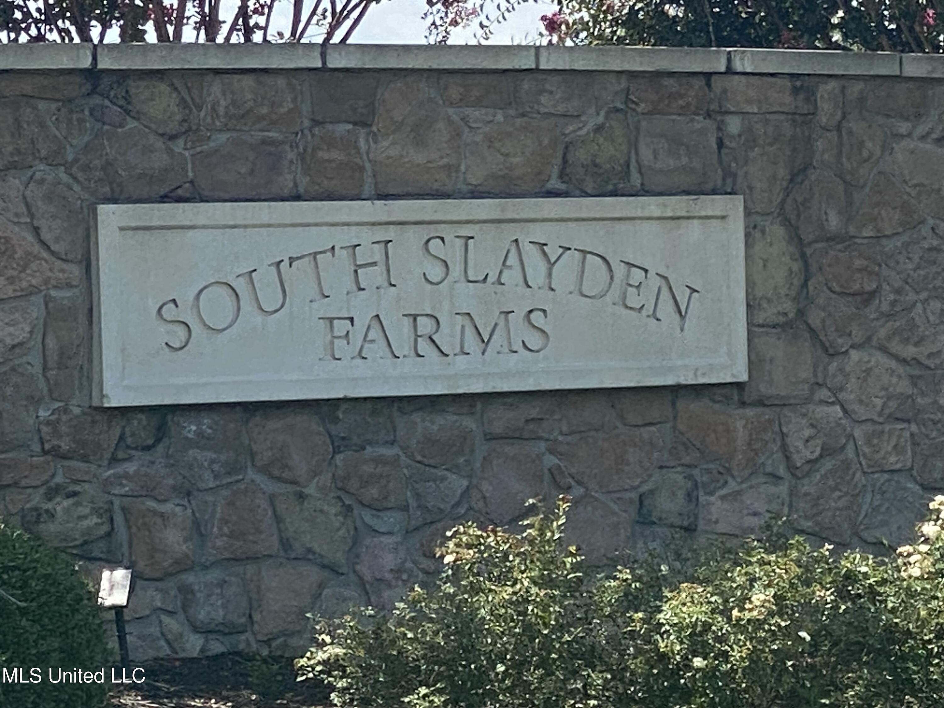 0 Summer Oak Drive Property Photo 2