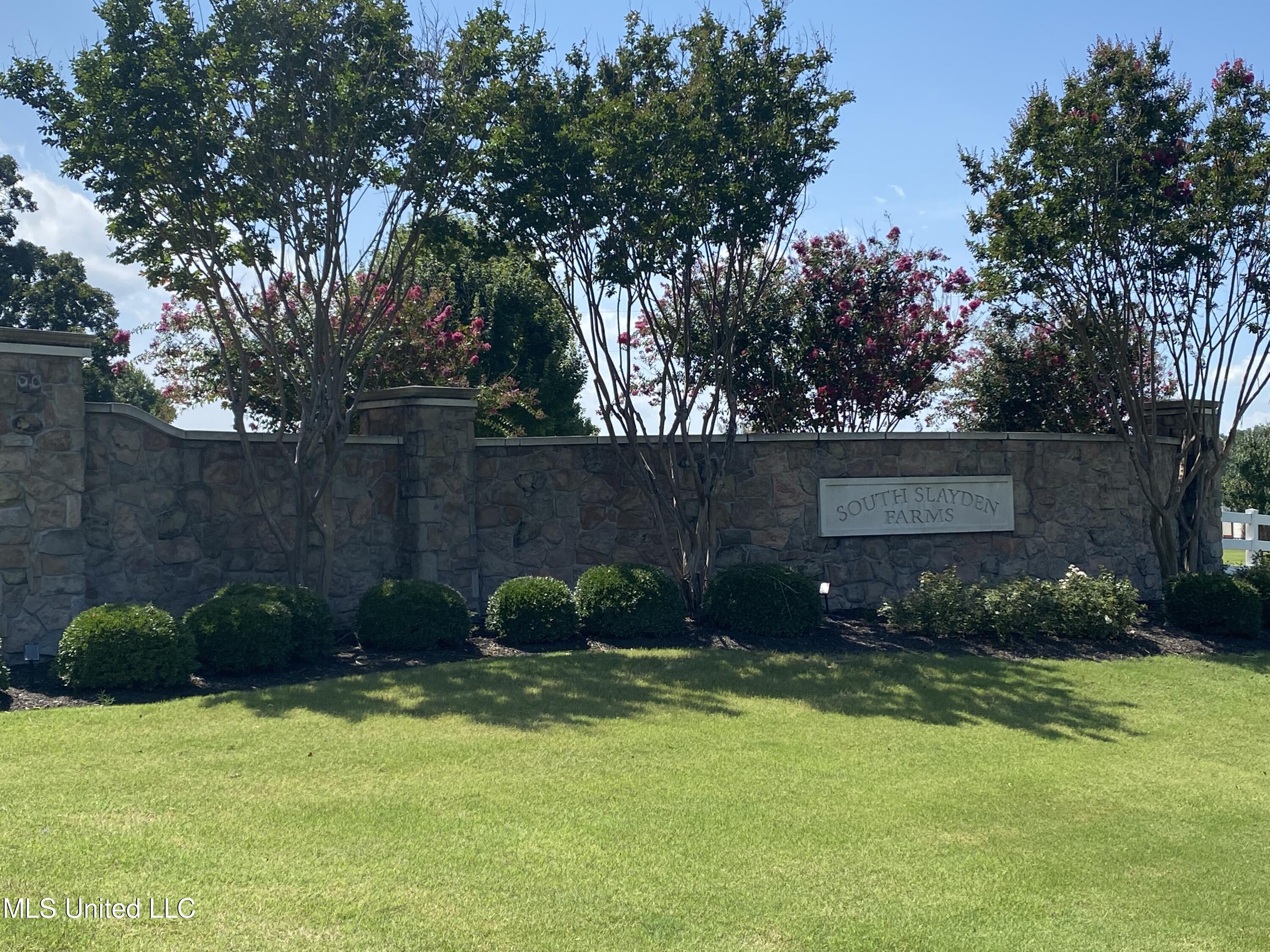 0 Summer Oak Drive Property Photo 3