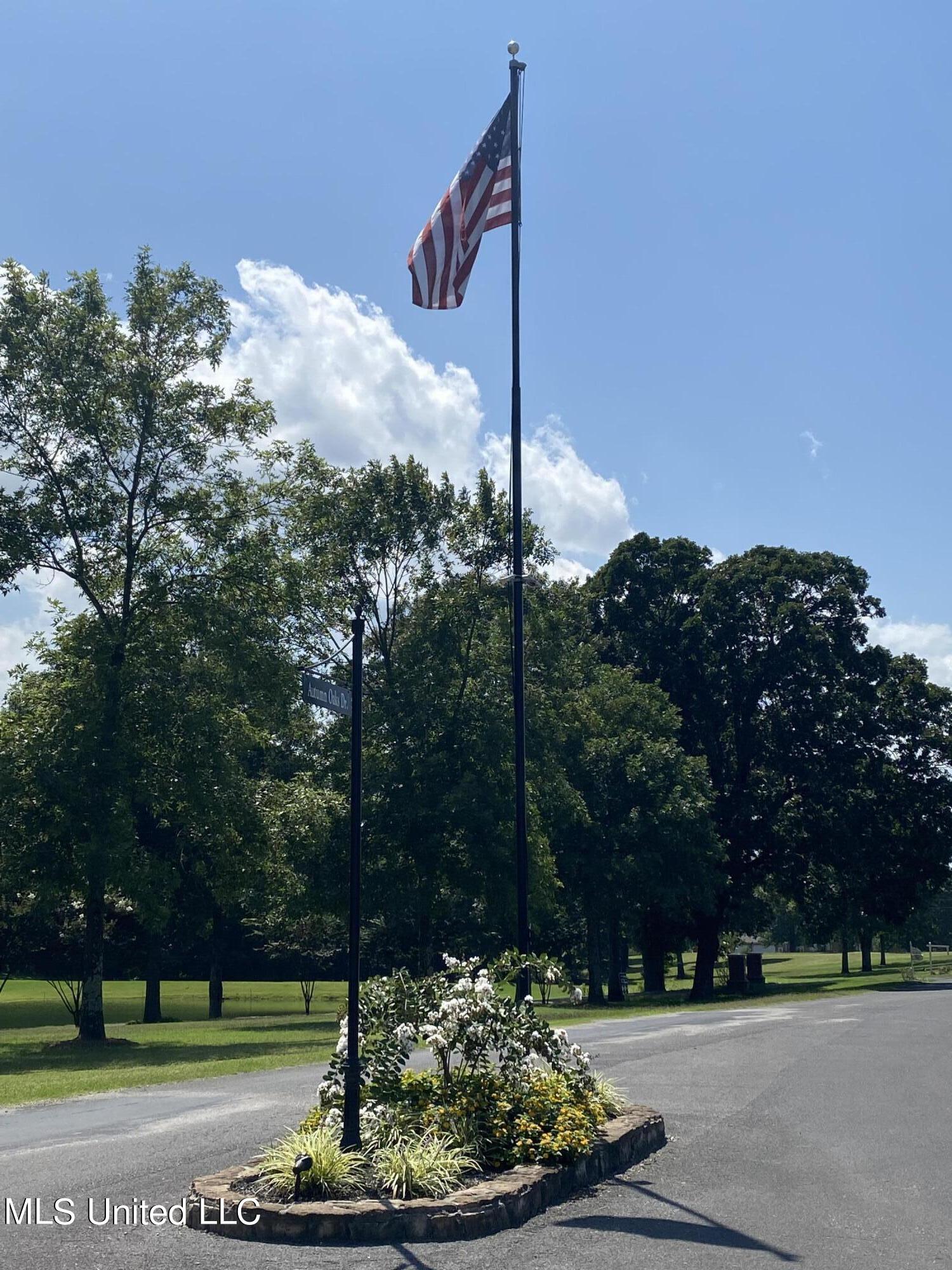 0 Summer Oak Drive Property Photo 4