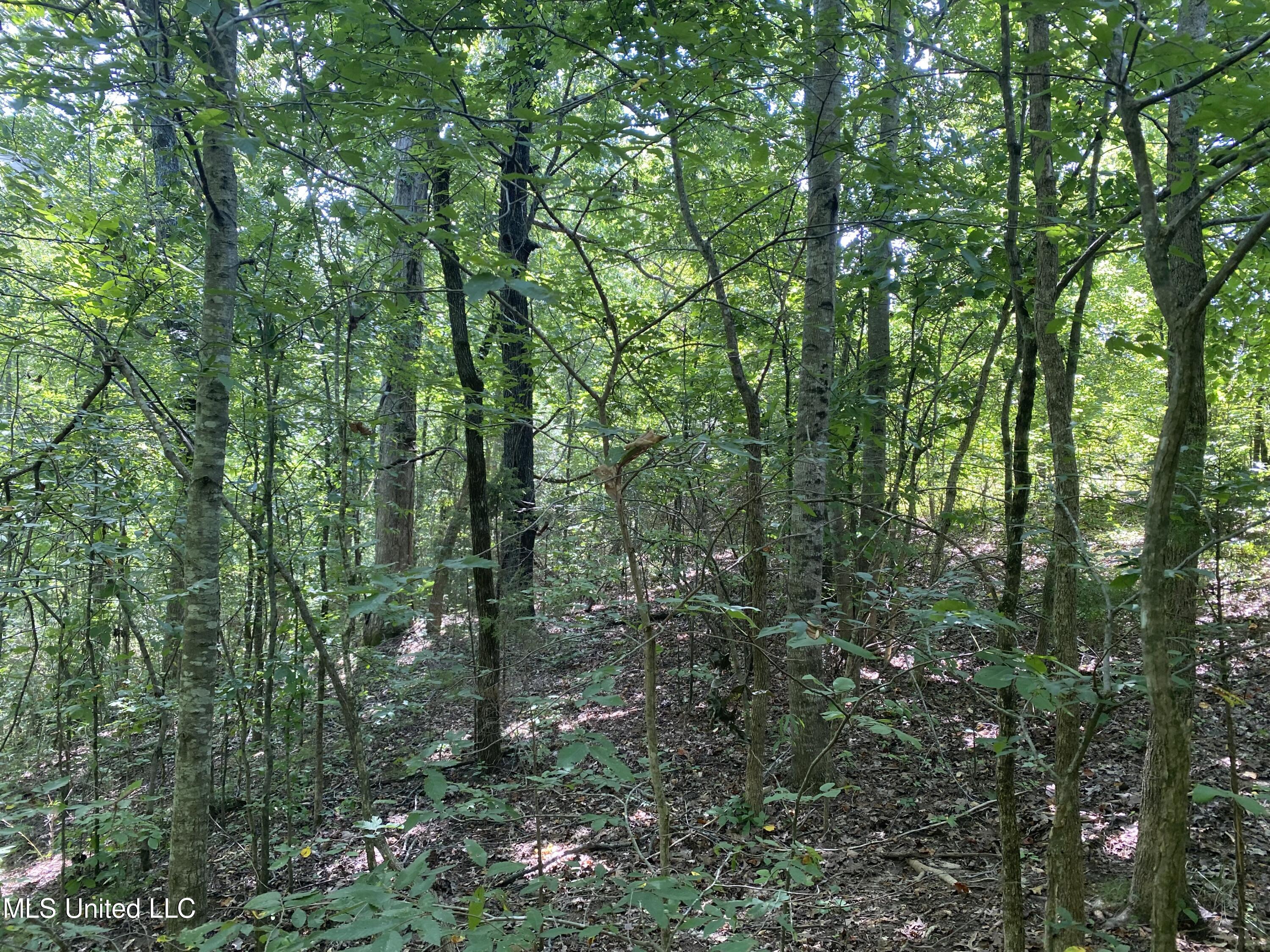 0 Summer Oak Drive Property Photo 7