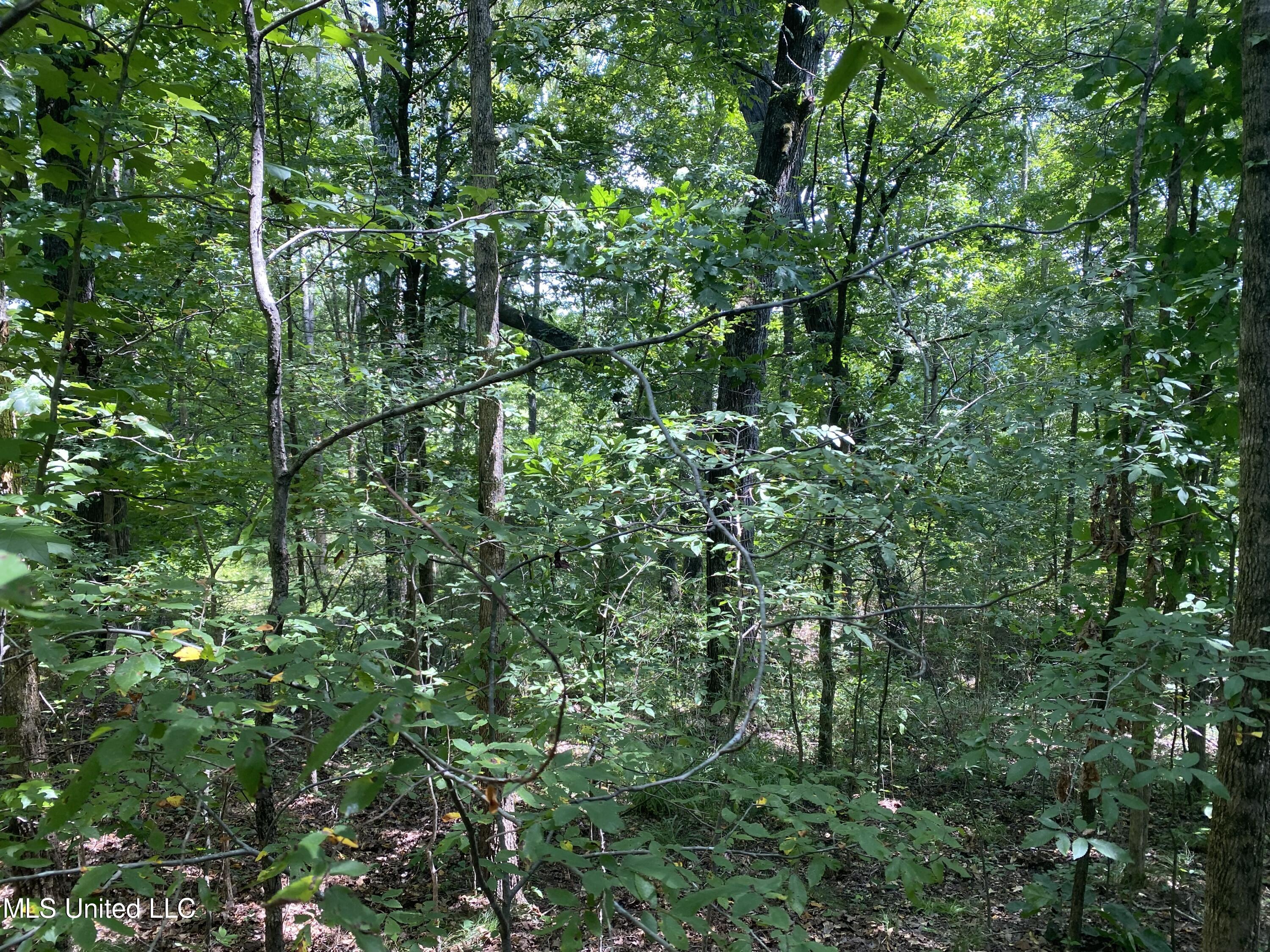 0 Summer Oak Drive Property Photo 8