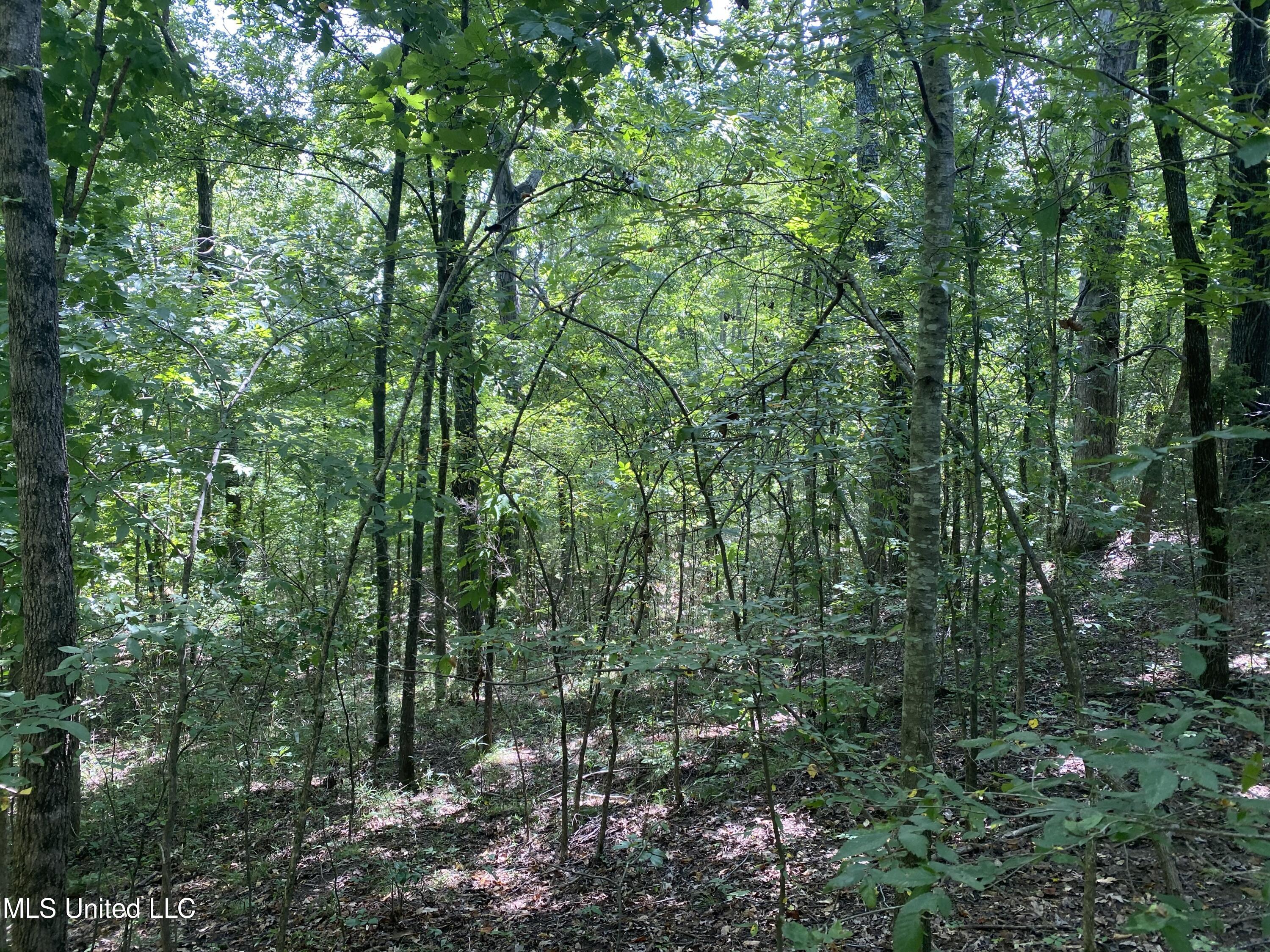 0 Summer Oak Drive Property Photo 9