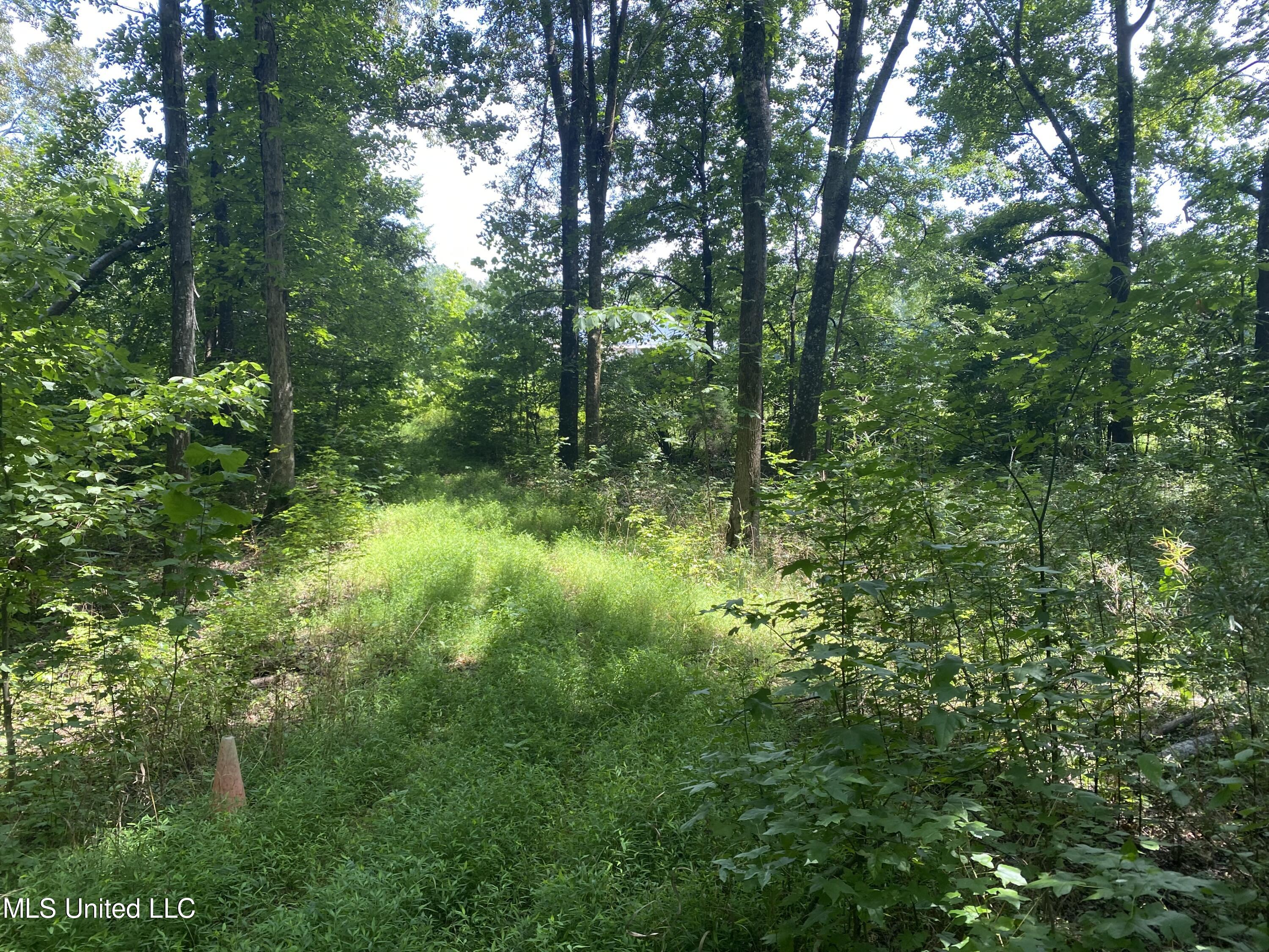 0 Summer Oak Drive Property Photo 10