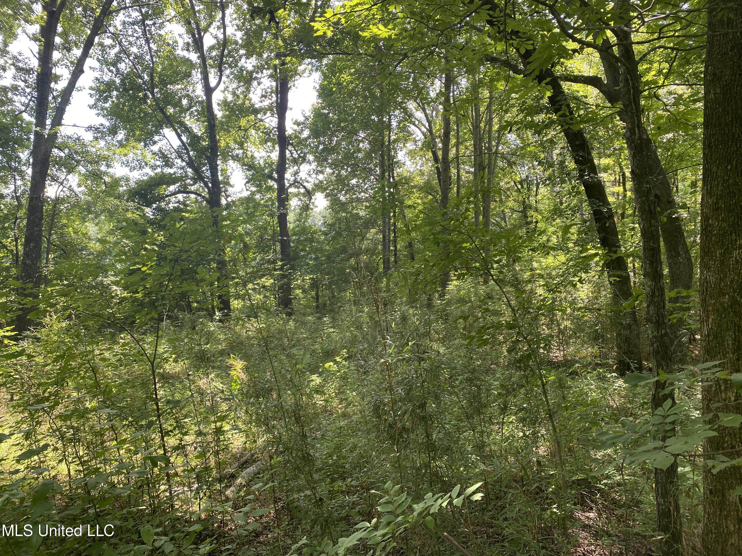 0 Summer Oak Drive Property Photo 11