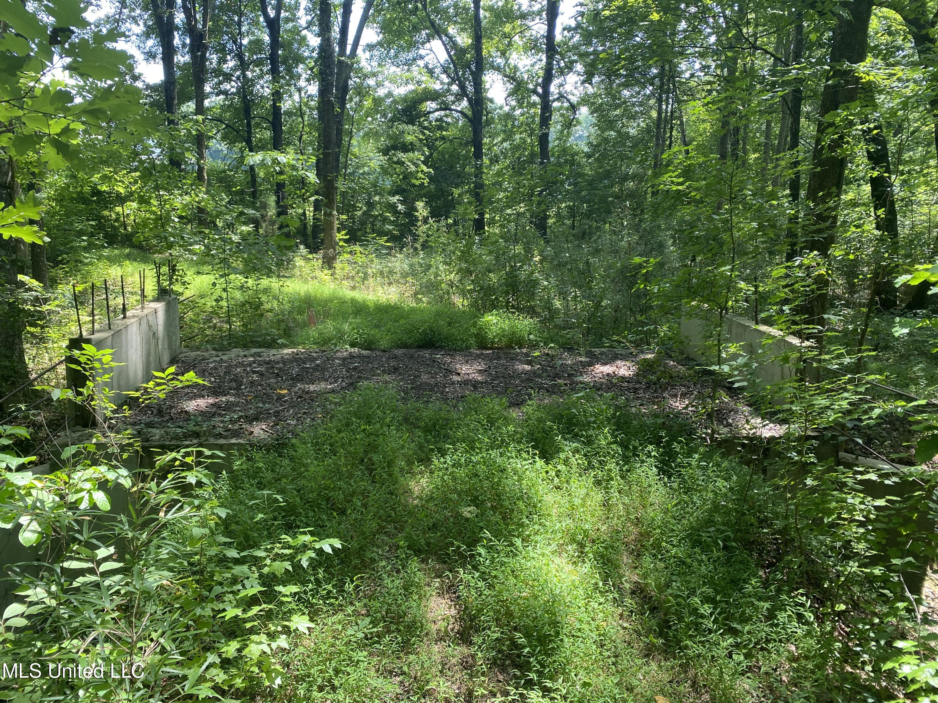 0 Summer Oak Drive Property Photo 12