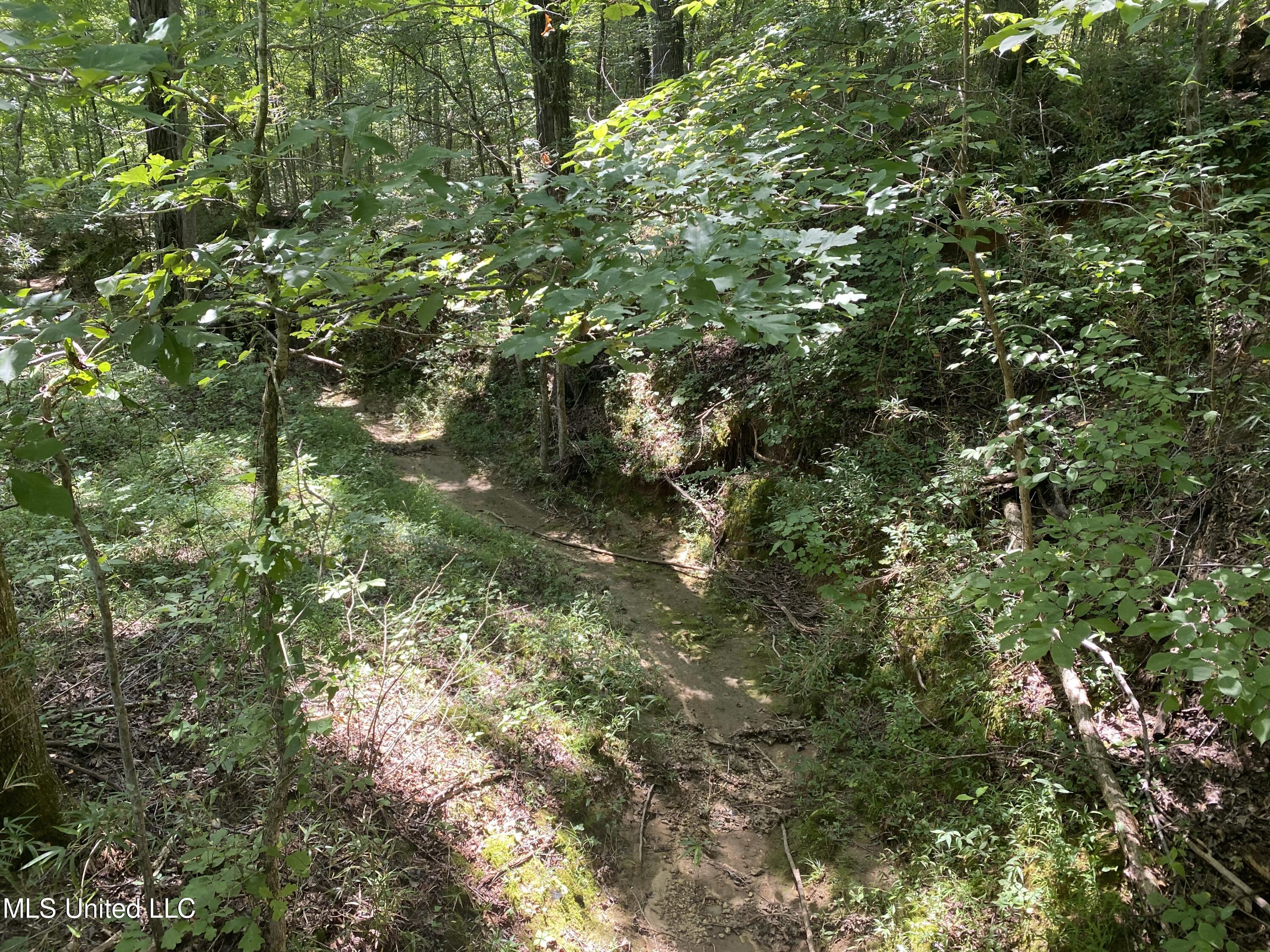 0 Summer Oak Drive Property Photo 14