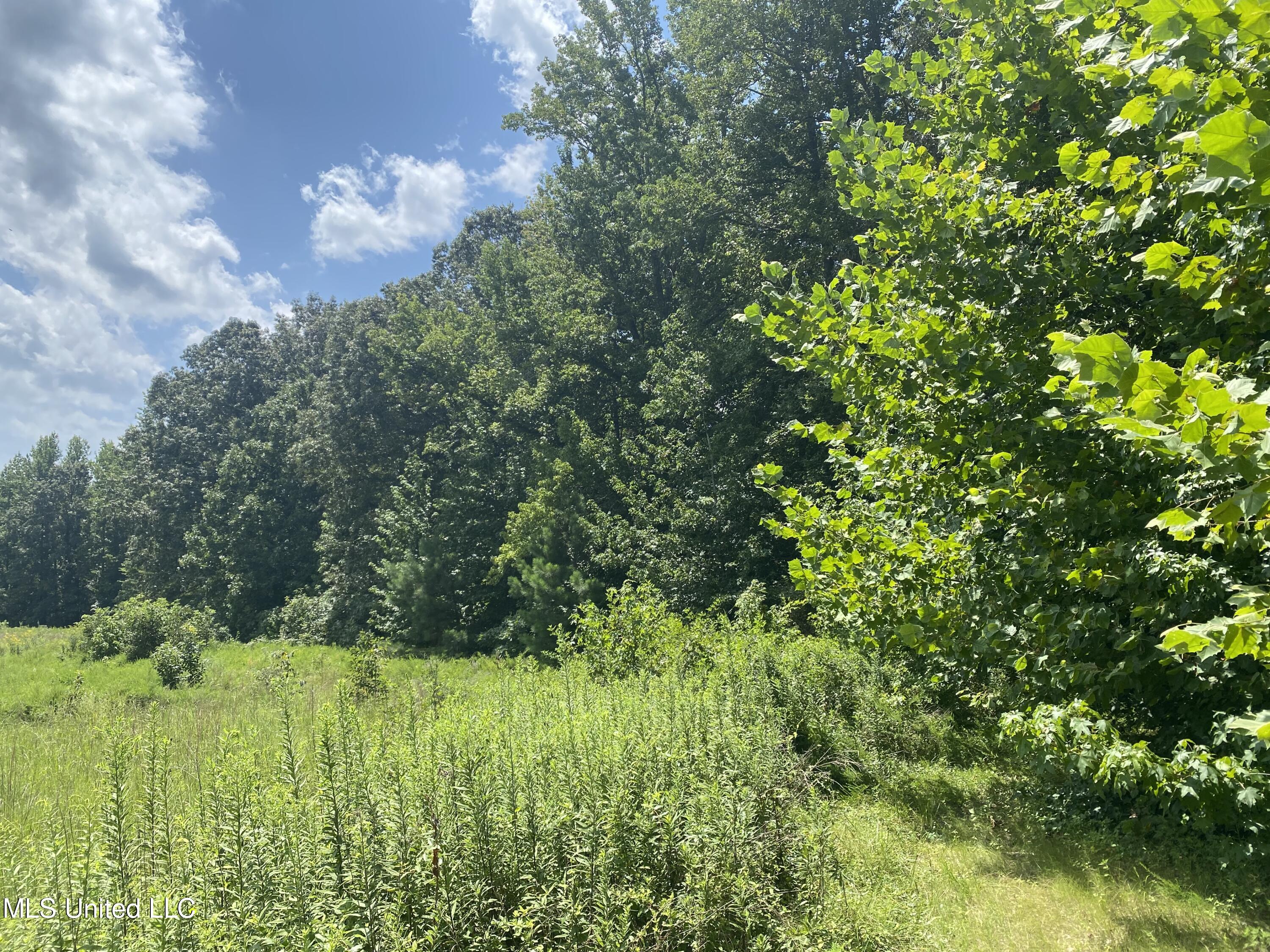 0 Summer Oak Drive Property Photo 15