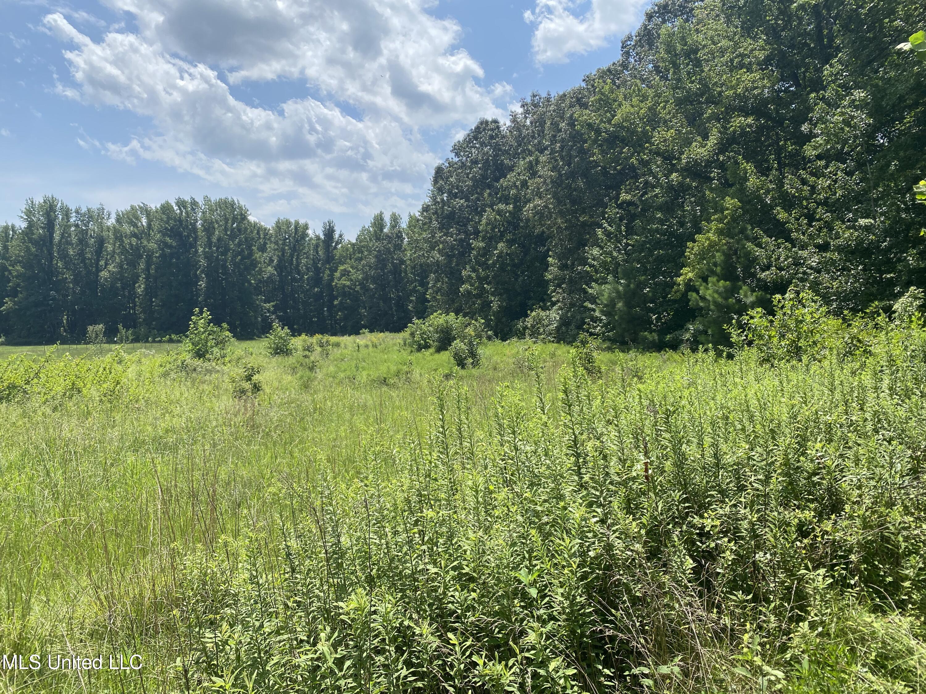 0 Summer Oak Drive Property Photo 17