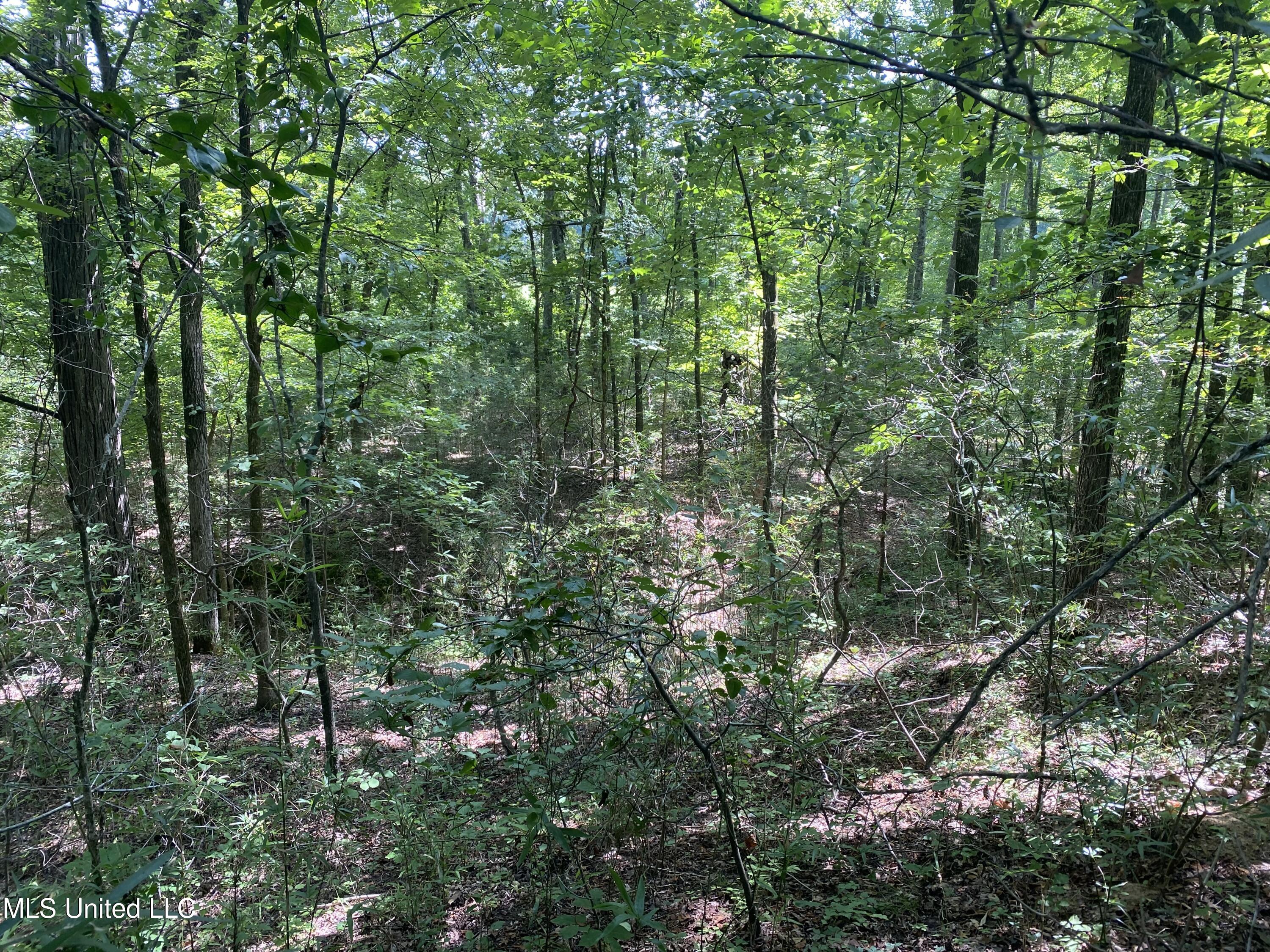 0 Summer Oak Drive Property Photo 18