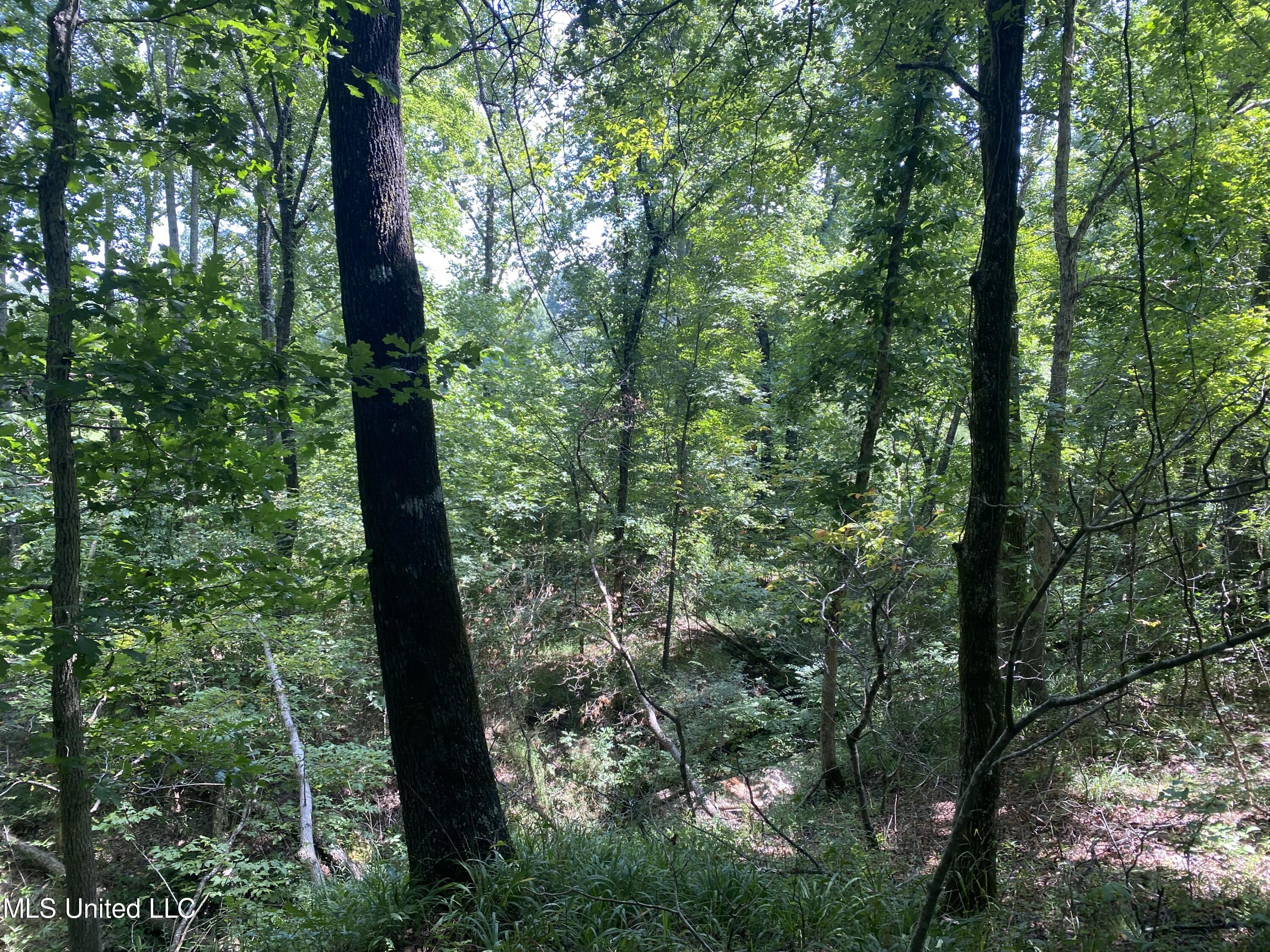 0 Summer Oak Drive Property Photo 19