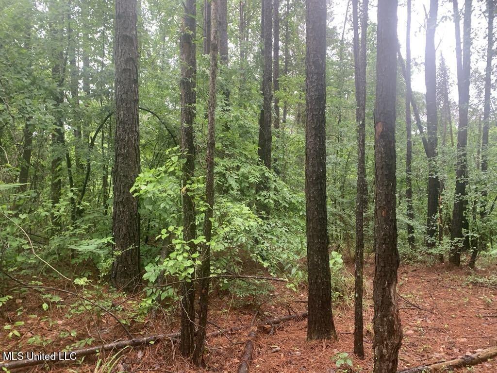 1063 Dry Creek Road Property Photo 9